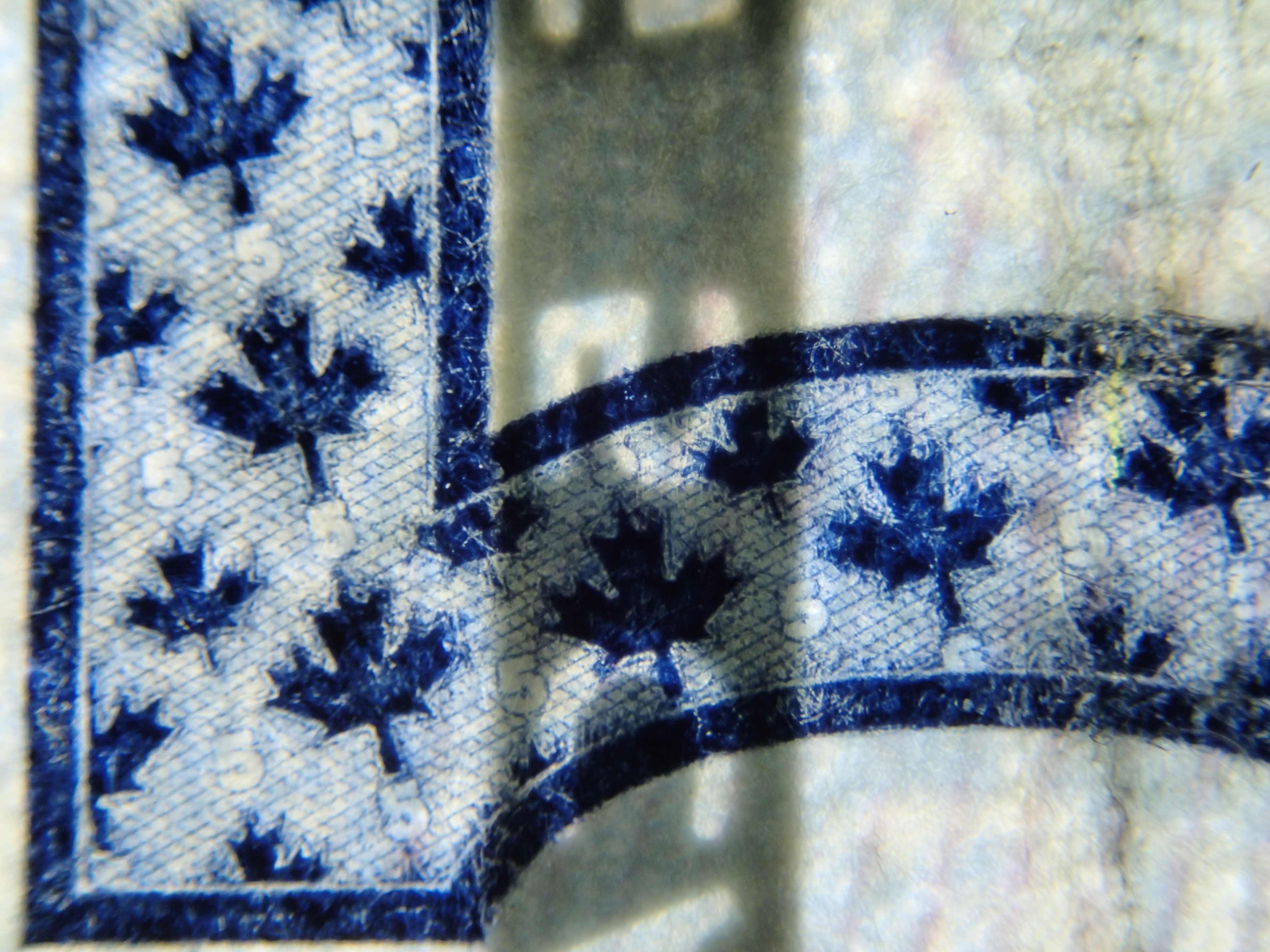 表面右下の「5」はよく見ると小さなメイプルの葉がたくさん印刷されている。裏側にはホログラムの帯が陰となって写っている。