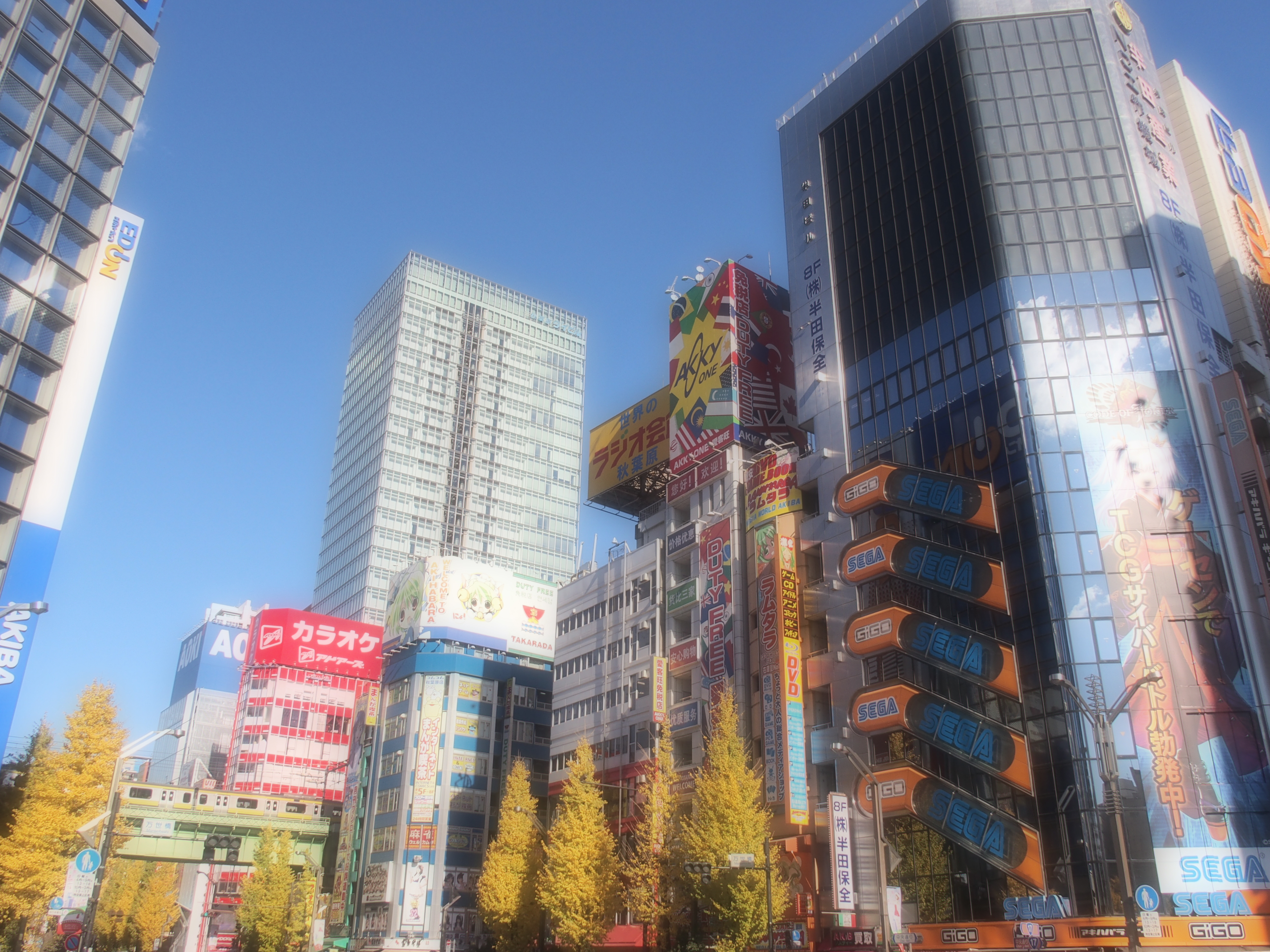 ファンタジックフォーカス