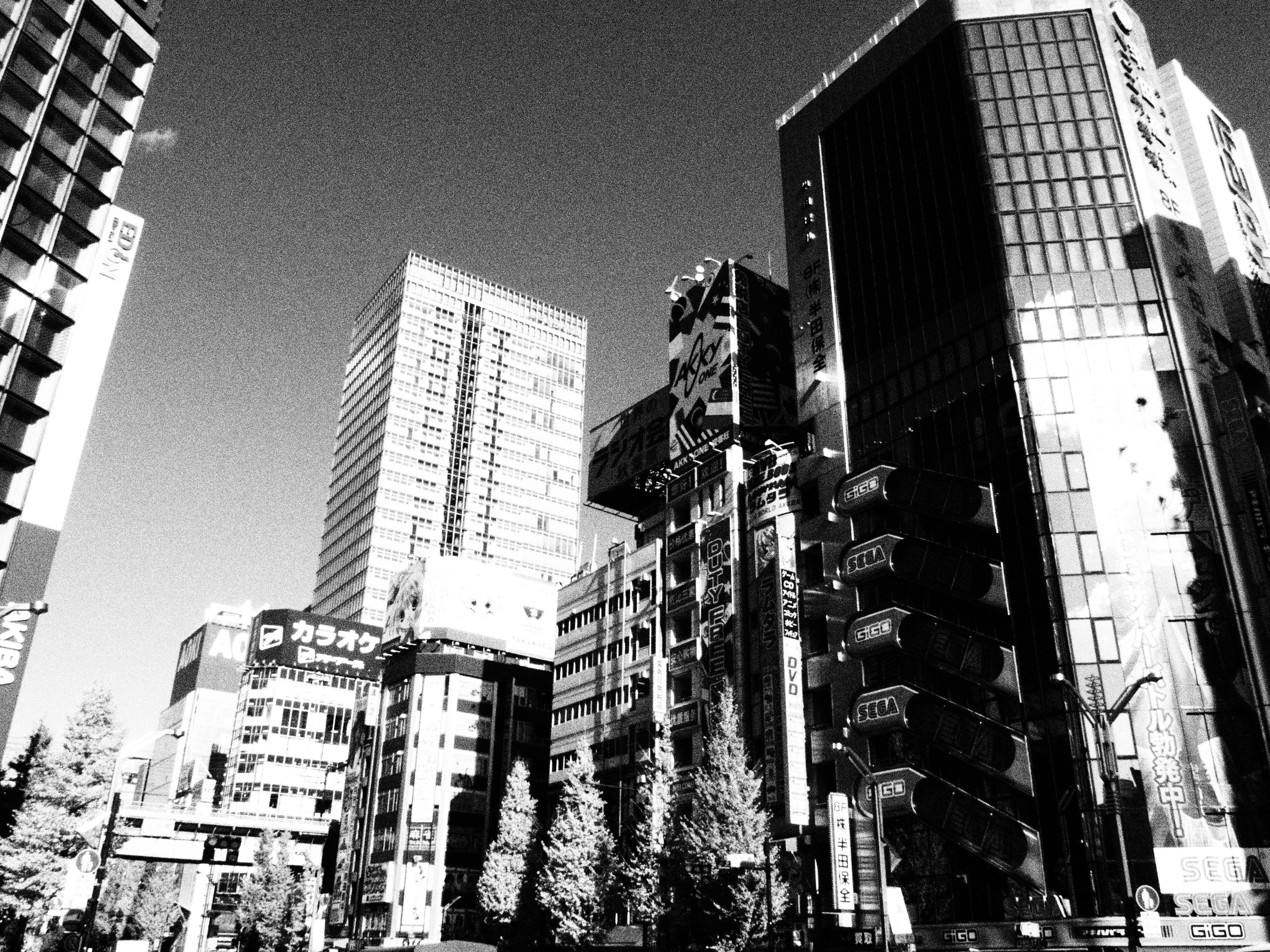 ラフモノクローム