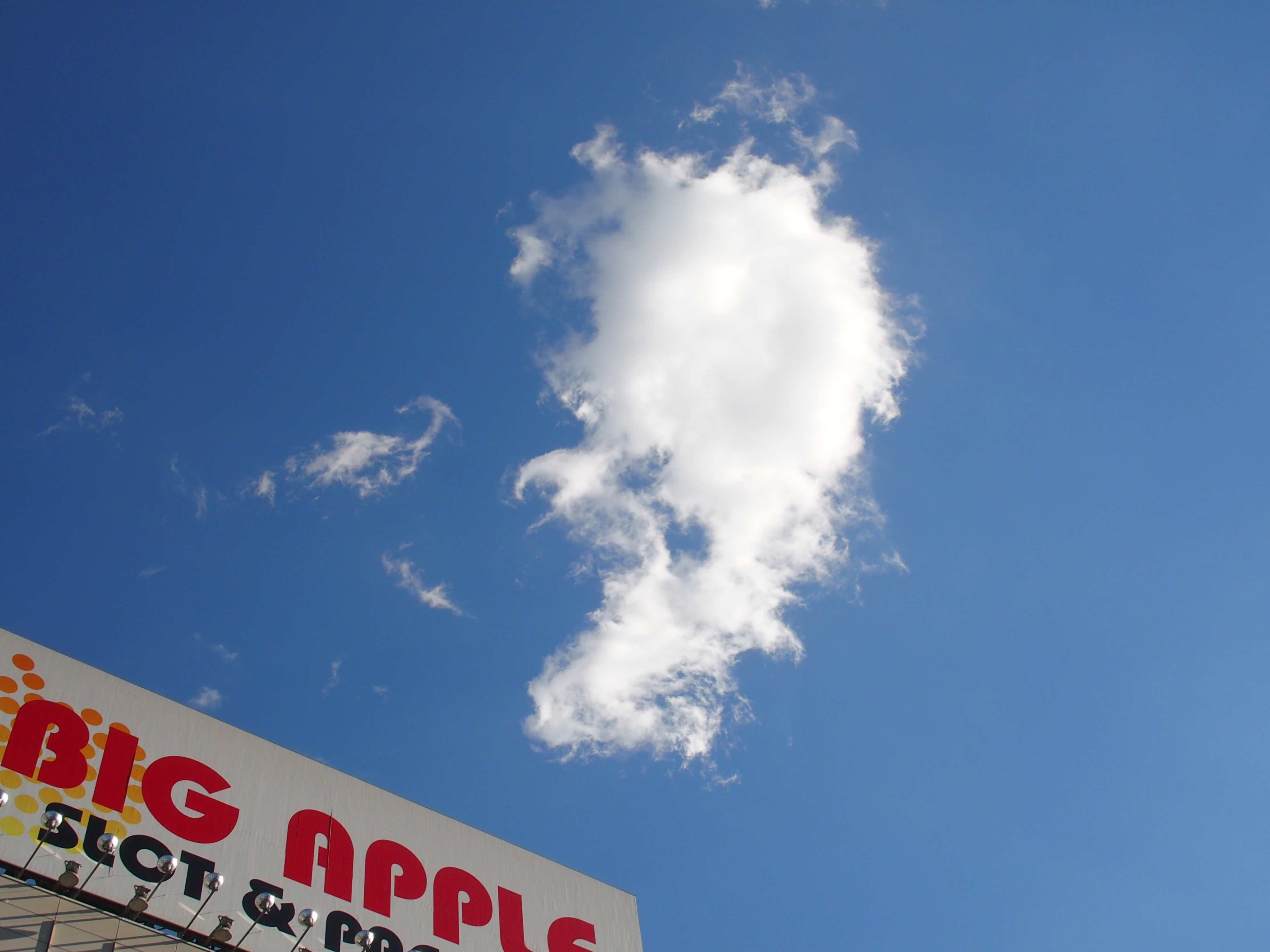 STYLUS1 / ISO100 / F5.6 / 1/640秒 / 9.8mm（46mm相当）