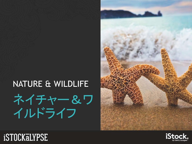 「ネイチャー＆ワイルドライフ」の例。ネコなどのかわいい動物、動物とのコミュニケーションや擬人化により「個人」を感じさせるもの、力強さ、かわいらしさ、おもしろさ、何らかを「達成」しているシーンやストーリーを連想させるもの。あるいは（人間を風景の一部にして）さわやかさ、健康的な雰囲気を感じさせるもの