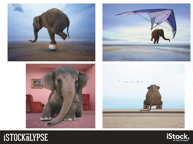 例）ゾウ：英語で「部屋にいるゾウ」=“elephant in the room”というフレーズ（見てみぬふり、居心地の悪いタブーの意）があり、そんな比喩に使われる絵柄もある