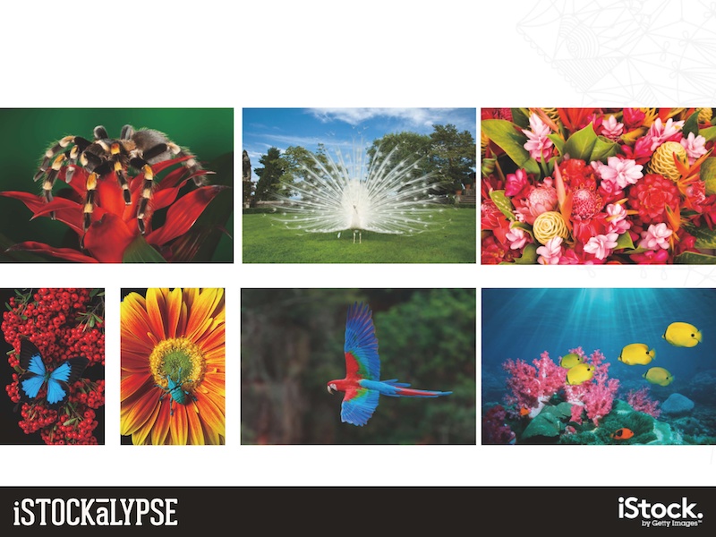 例）あざやかな自然風景：テレビ画面などに使われる