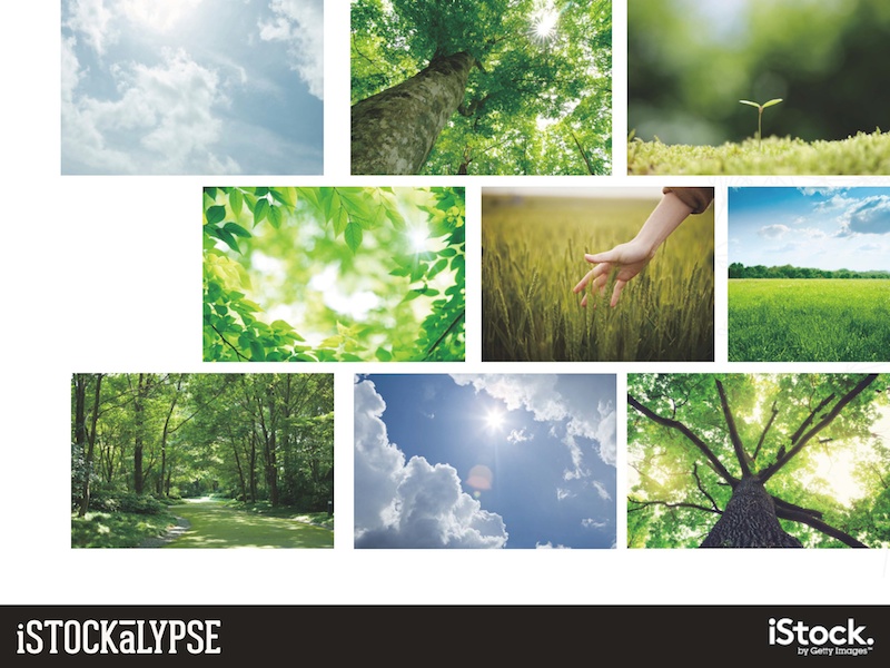 例）自然環境、緑や森、空：持続可能な健康と自然の生活様式、エコロジーや人間と自然の共生を連想させるもの