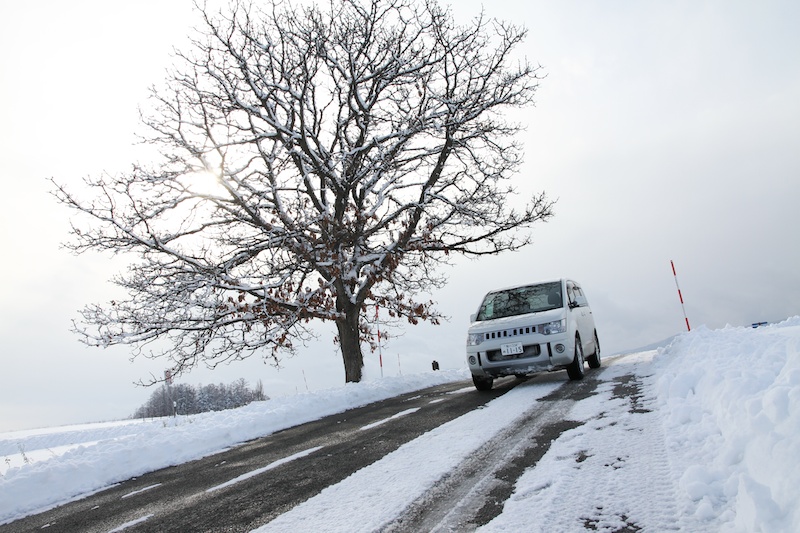 マイルドセブンの木の前にて。四季折々に魅力ある表情を見せる美瑛