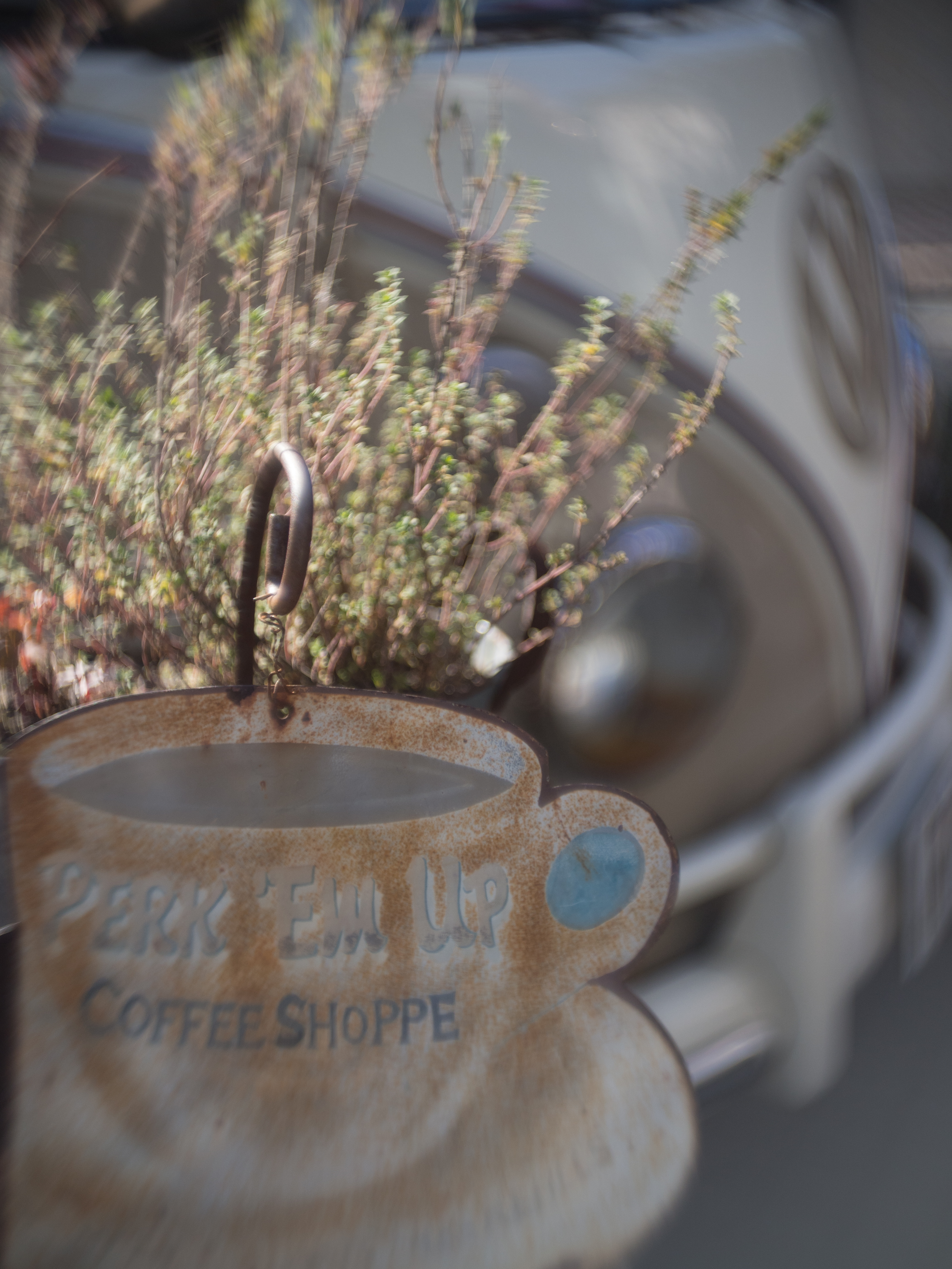 PEN E-P5 / Speed Anastigmat 25mm F1.5 / 4,608×3,456 / 1/1,600秒 / F2 / 0EV / ISO200 / WB:オート / 25mm