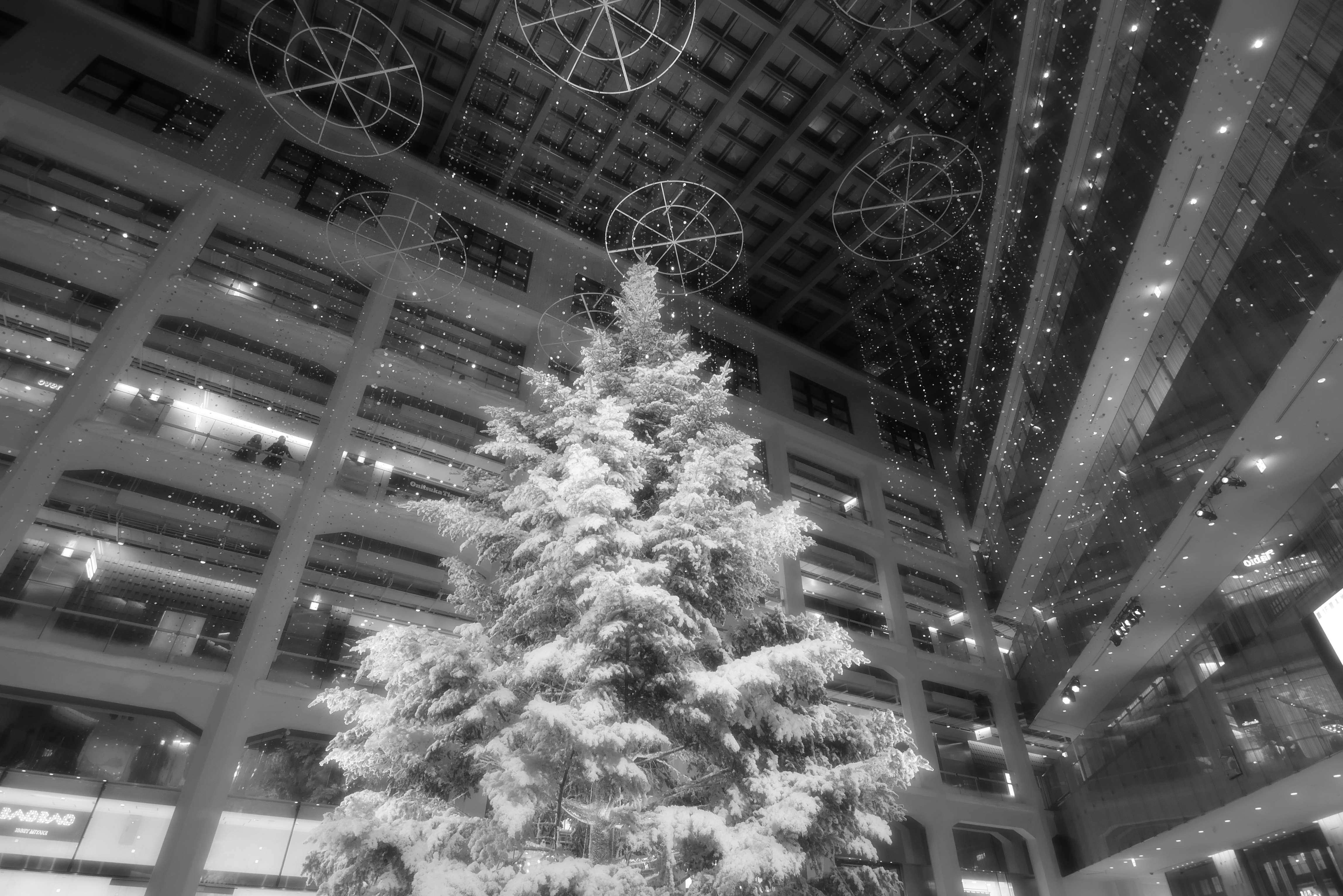 DMC-GX7 / M.ZUIKO DIGITAL ED 9-18mm F4-5.6 / 4,592×3,064 / ISO500 / F4 / 1/60秒 / 9mm / クリエイティブコントロール：シルキーモノクローム