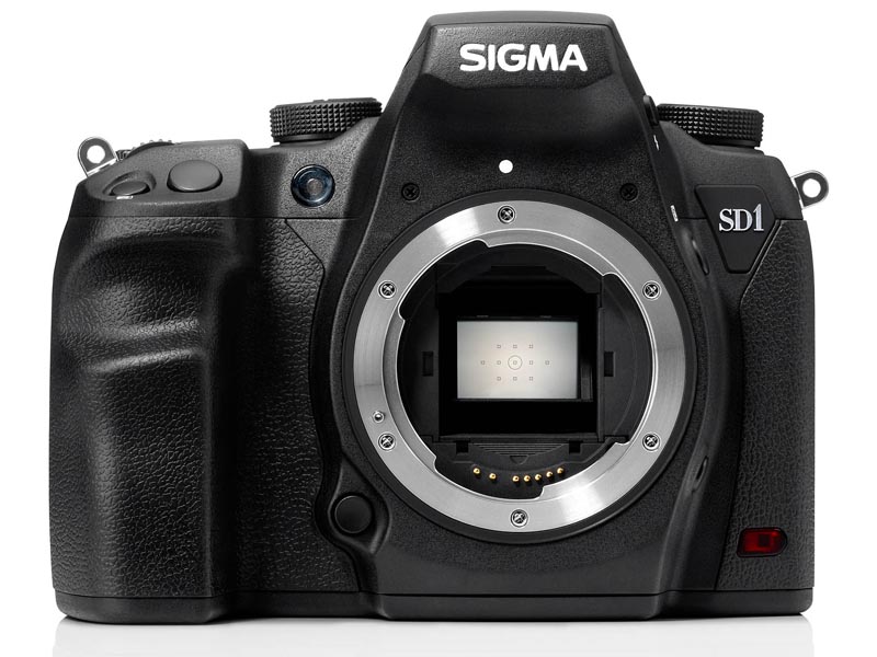 SIGMA SD1 Merrill