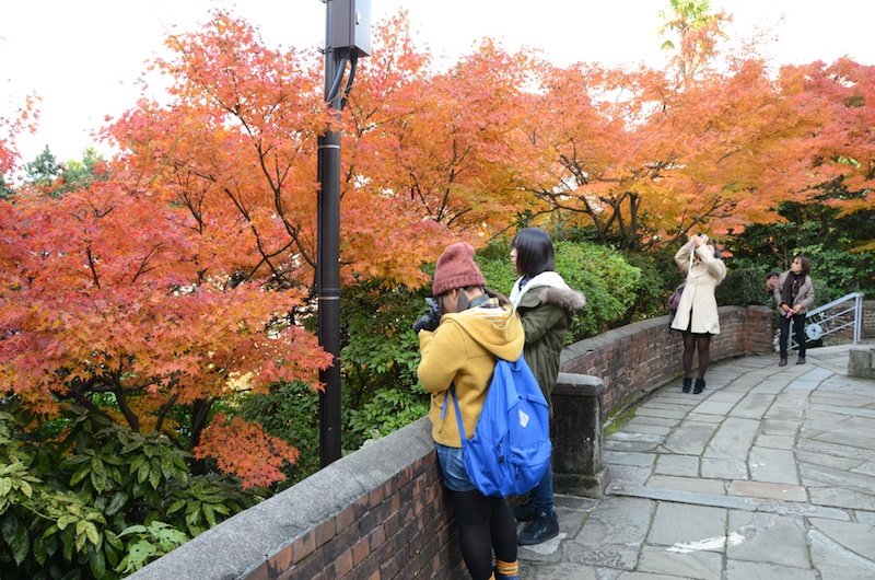 大浦天主堂のもみじは、きれいに色づいていました。
