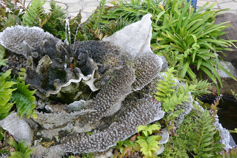 撮影者：スズカさん「初めて本格的なカメラで写真を撮ってみて、とても楽しかったです。ハマリそう！　上手く撮れるようになりたいと思いました」