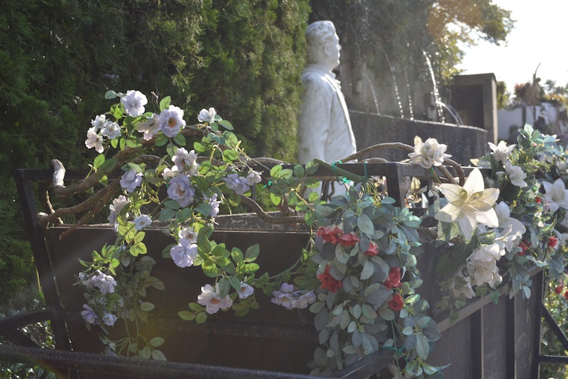 撮影者：ともかさん「一眼レフデビューしたばかりの初心者でしたが、基本から教えてもらえてステキな写真がたくさん撮れました。写真を撮る旅は、今までやってこなかったけどとても楽しかったです。女子旅最高！（^○^）/」