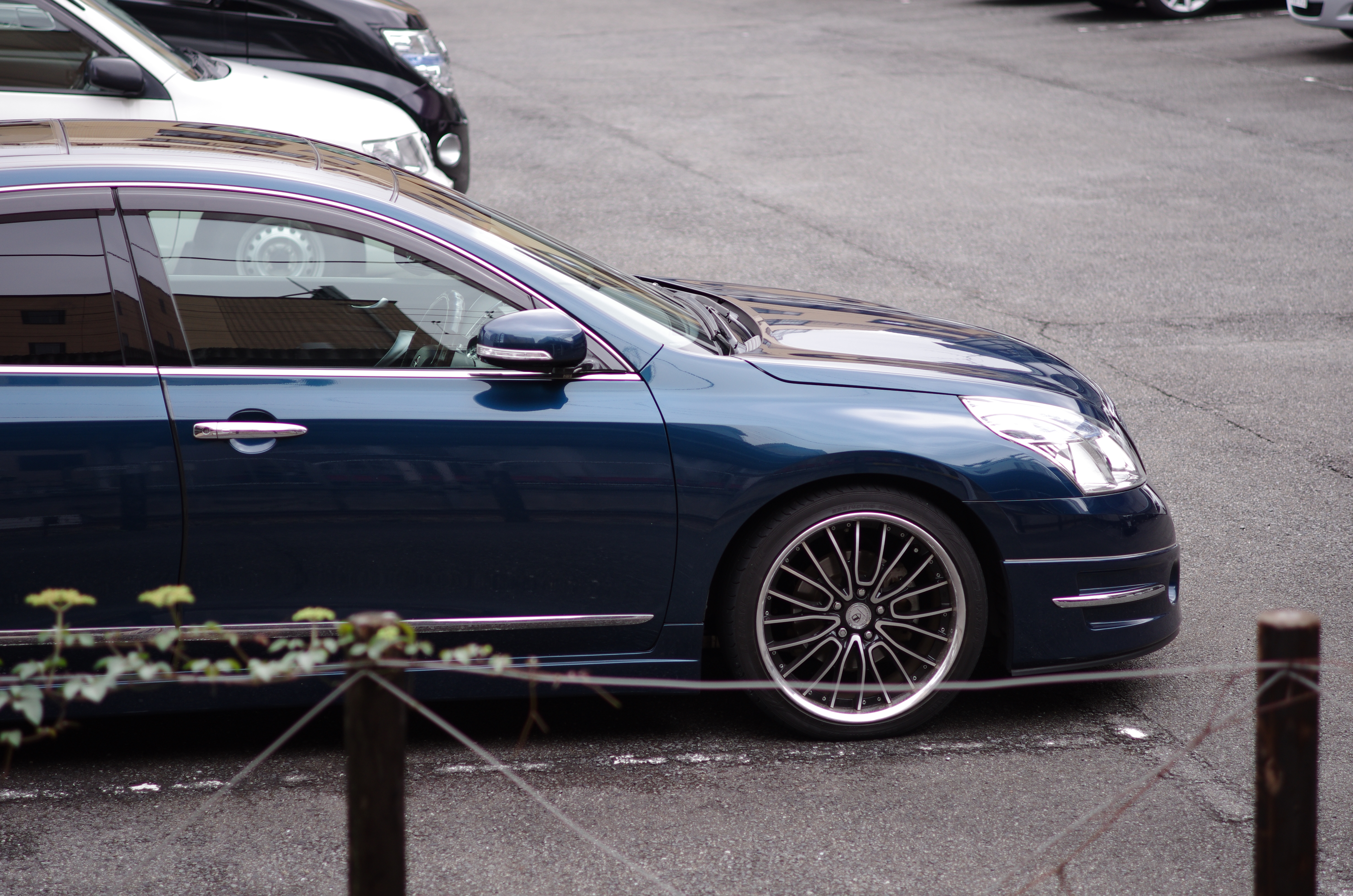 K-5 IIs / 1/1,000秒 / F2.4 / 0EV / ISO200 / シャッター&amp;絞り優先 / WB：オート / 70mm