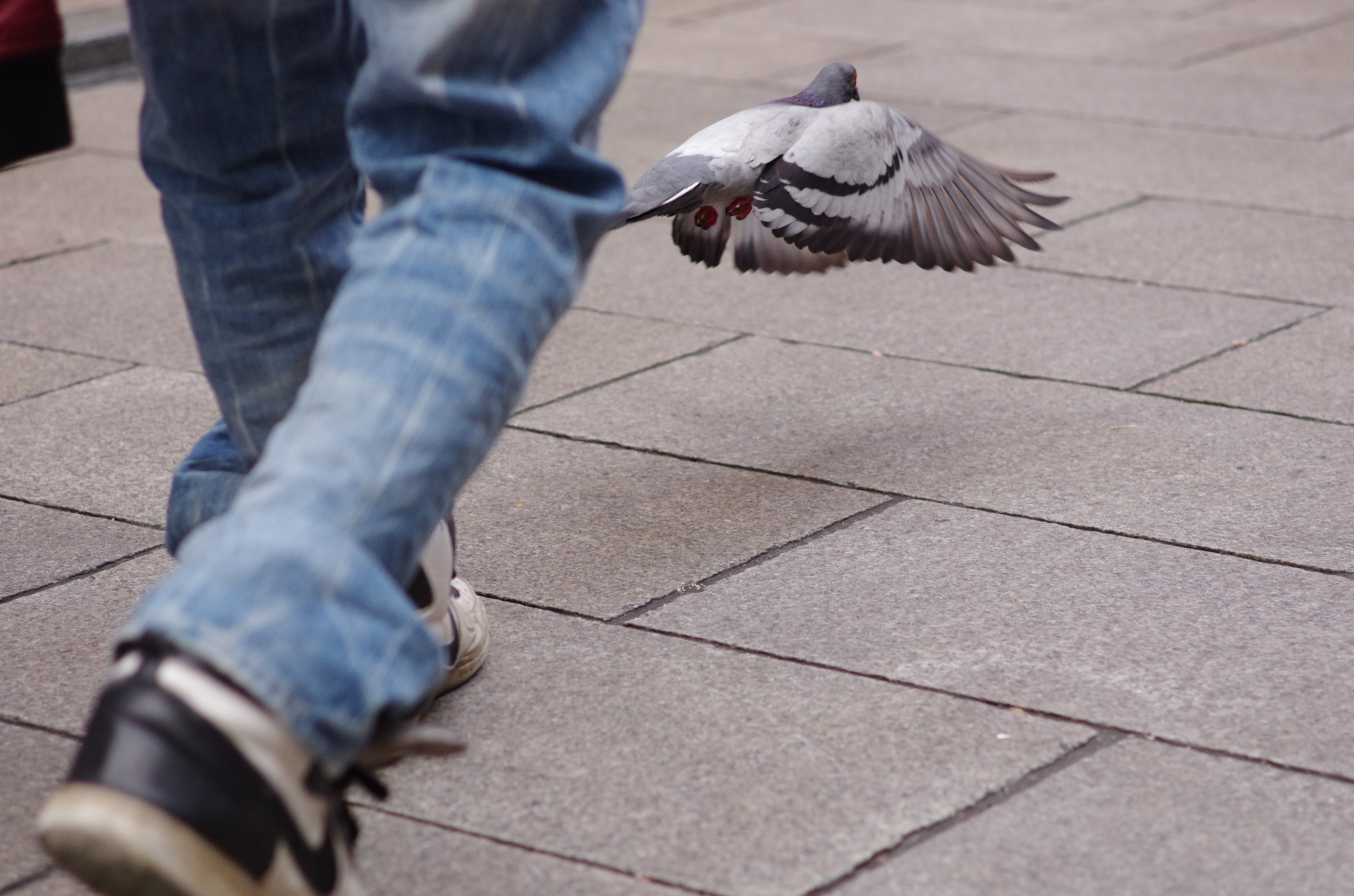 K-5 IIs / 1/1,000秒 / F3.2 / +0.3EV / ISO1250 / 社ター&amp;絞り優先 / WB：オート / 70mm