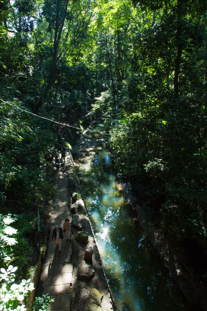 Jun Hondaさん「Setagaya Green」