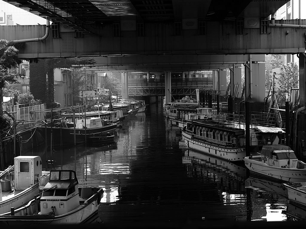 てれきゃすさん「屋形船待機中」