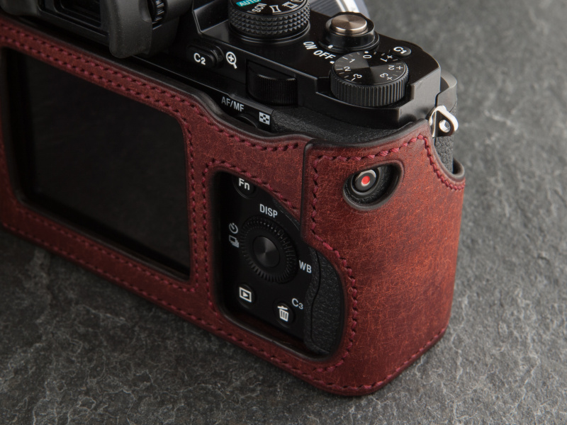 録画ボタン用に穴を備える。AELボタンは隠れているが、ガイドの上から押せば実用上問題はない