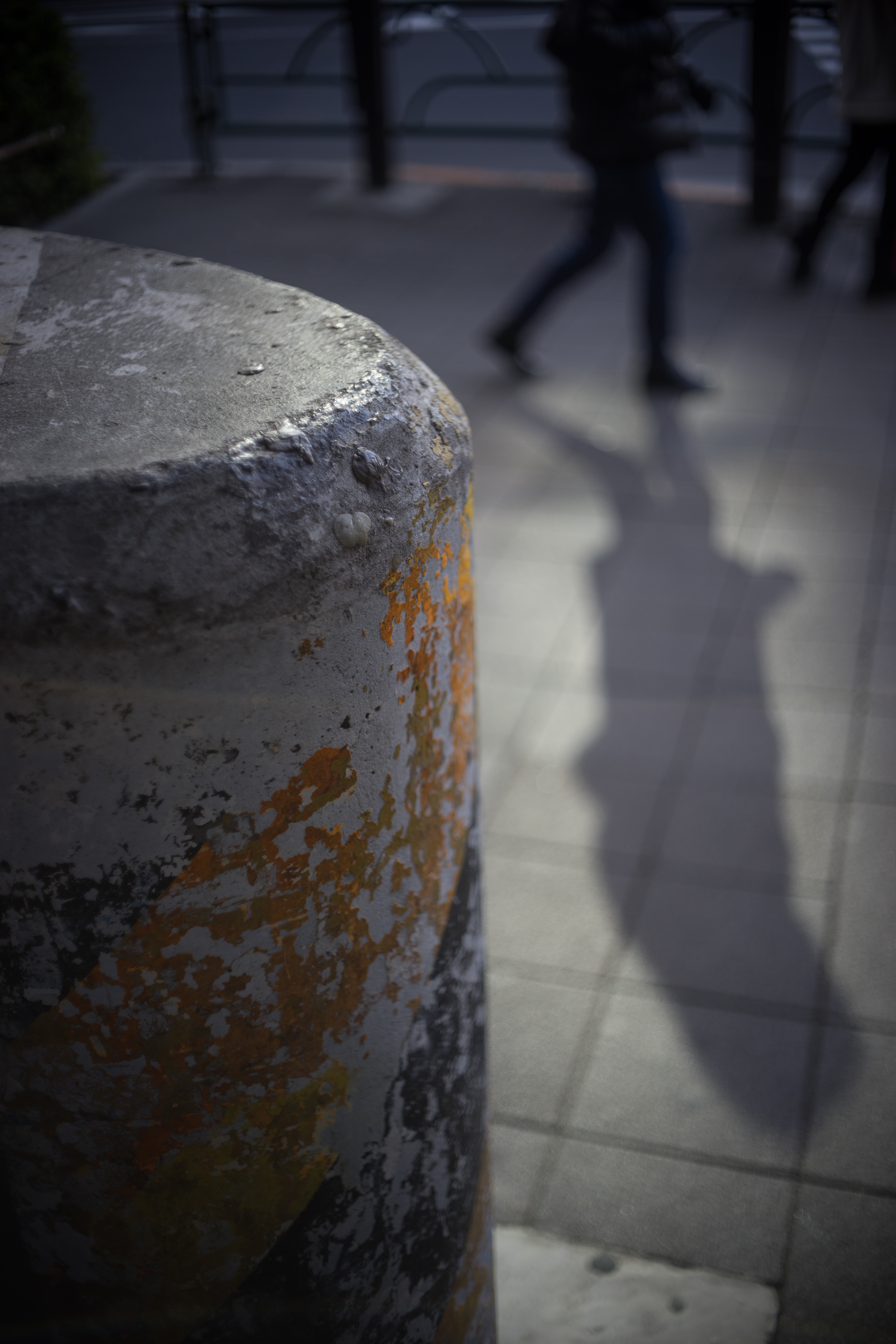 α7 / F.Zuiko Auto-S 38mm F1.8 / 6,000×4,000 / 1/320秒 / F1.8 / -0.7EV / ISO100 / WB:オート / 38mm