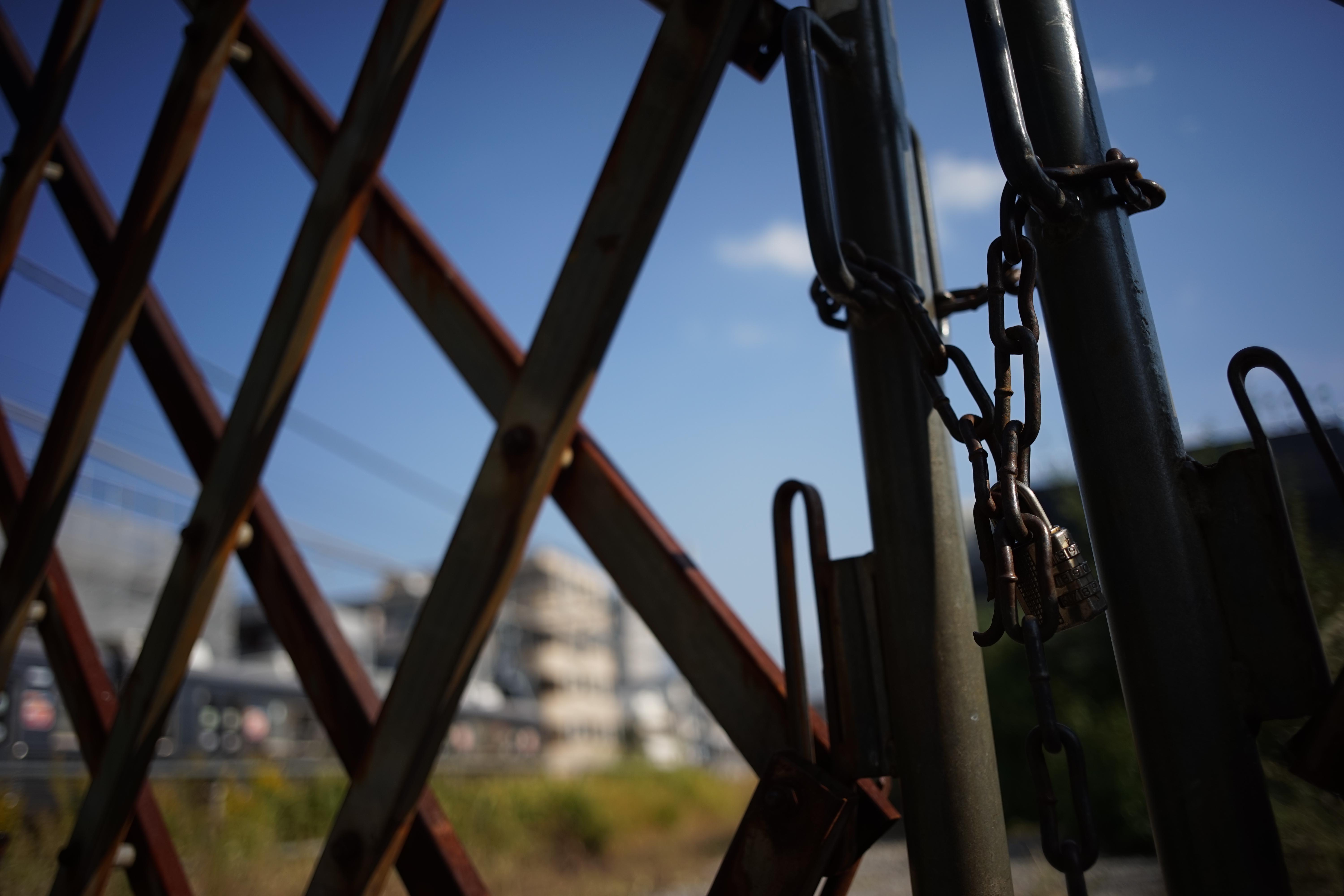 α7 / Biogon T* 28mm F2.8 / 6,000×4,000 / 1/2000秒 / F2.8 / 0EV / ISO100 / WB:オート / 28mm