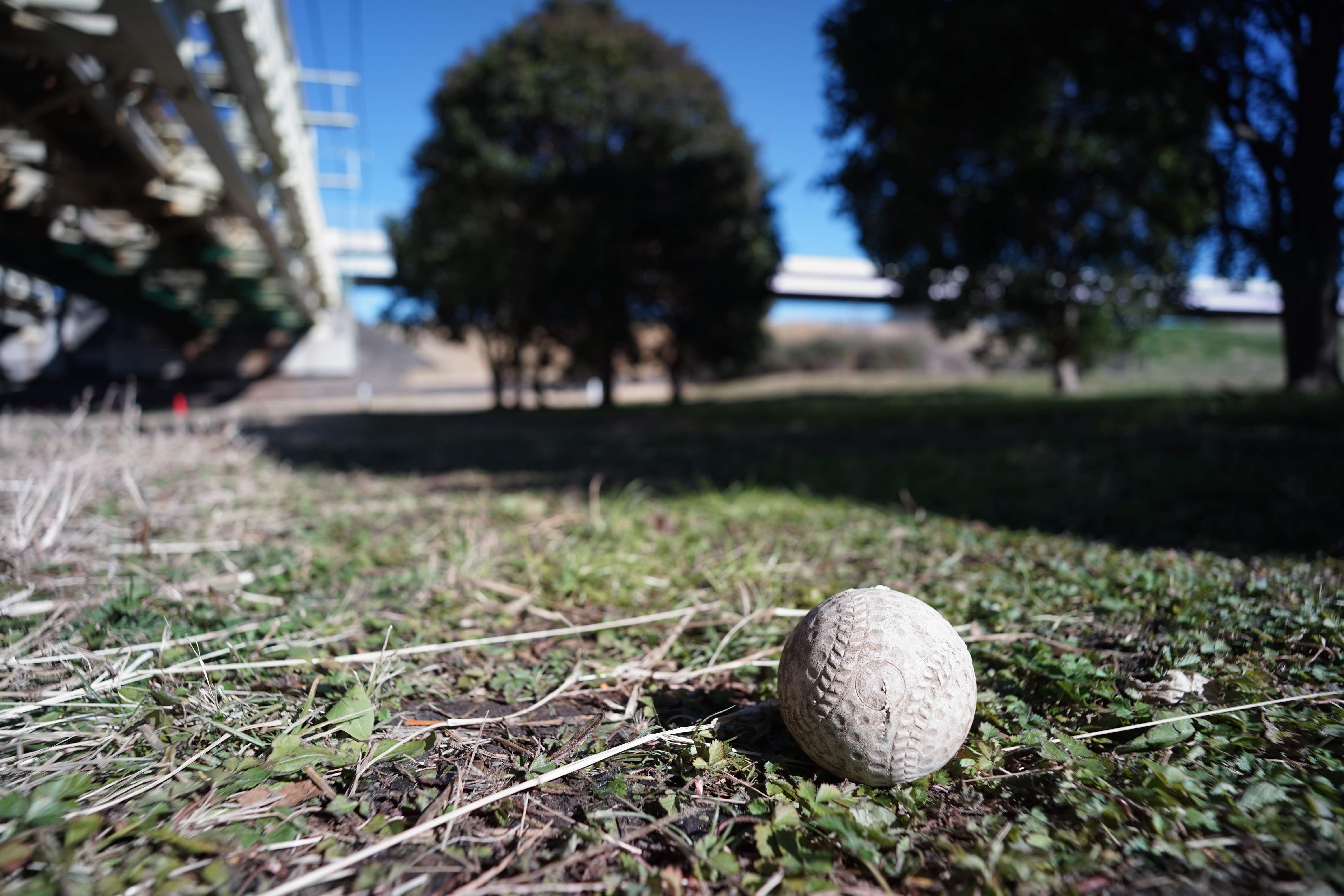 α7 / Biogon T* 21mm F2.8 / 6,000×4,000 / 1/640秒 / F4 / 0EV / ISO100 / WB:オート / 21mm