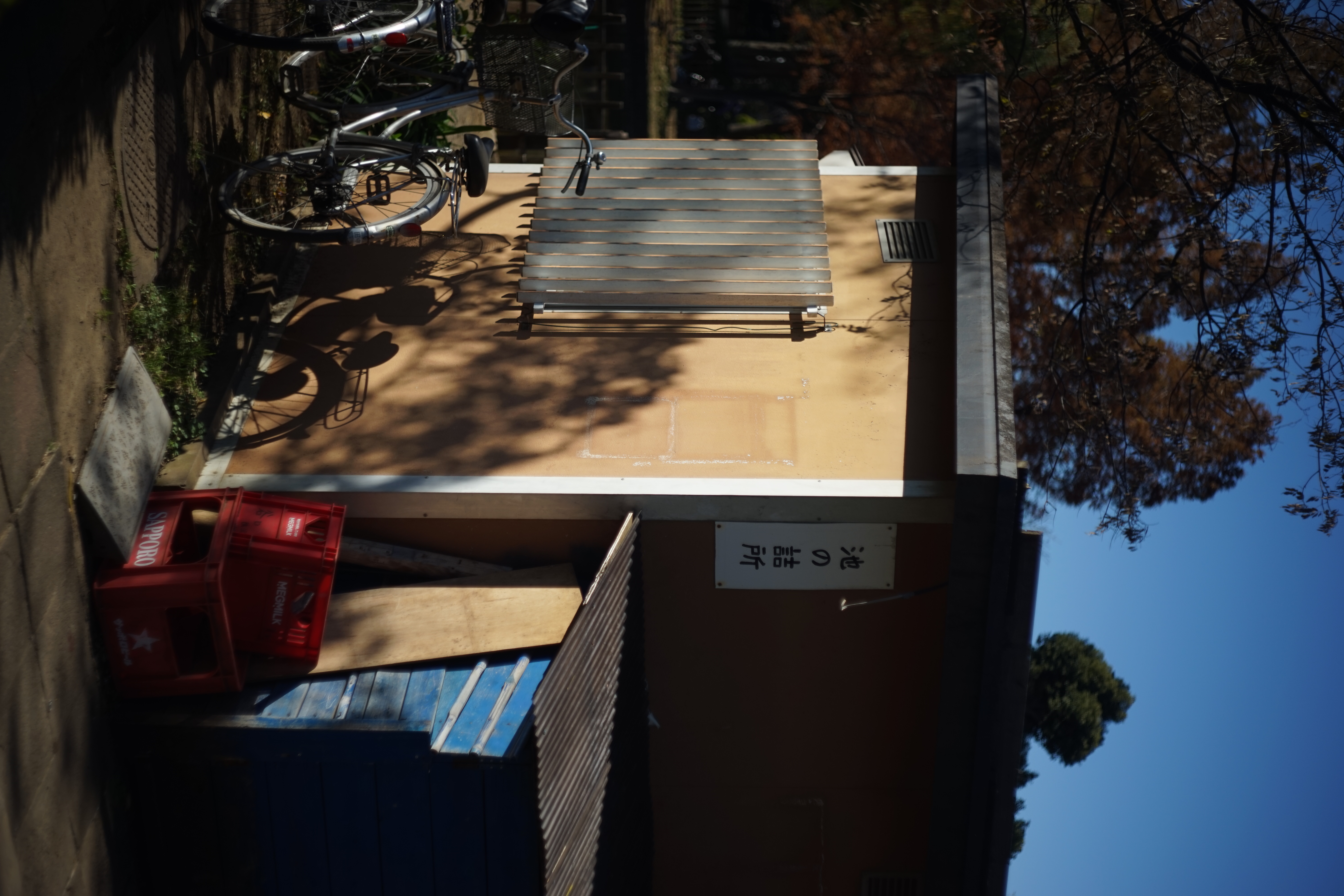 α7 / DR Summicron 50mm F2 / 6,000×4,000 / 1/5000秒 / F2 / -0.7EV / ISO100 / WB:オート / 50mm