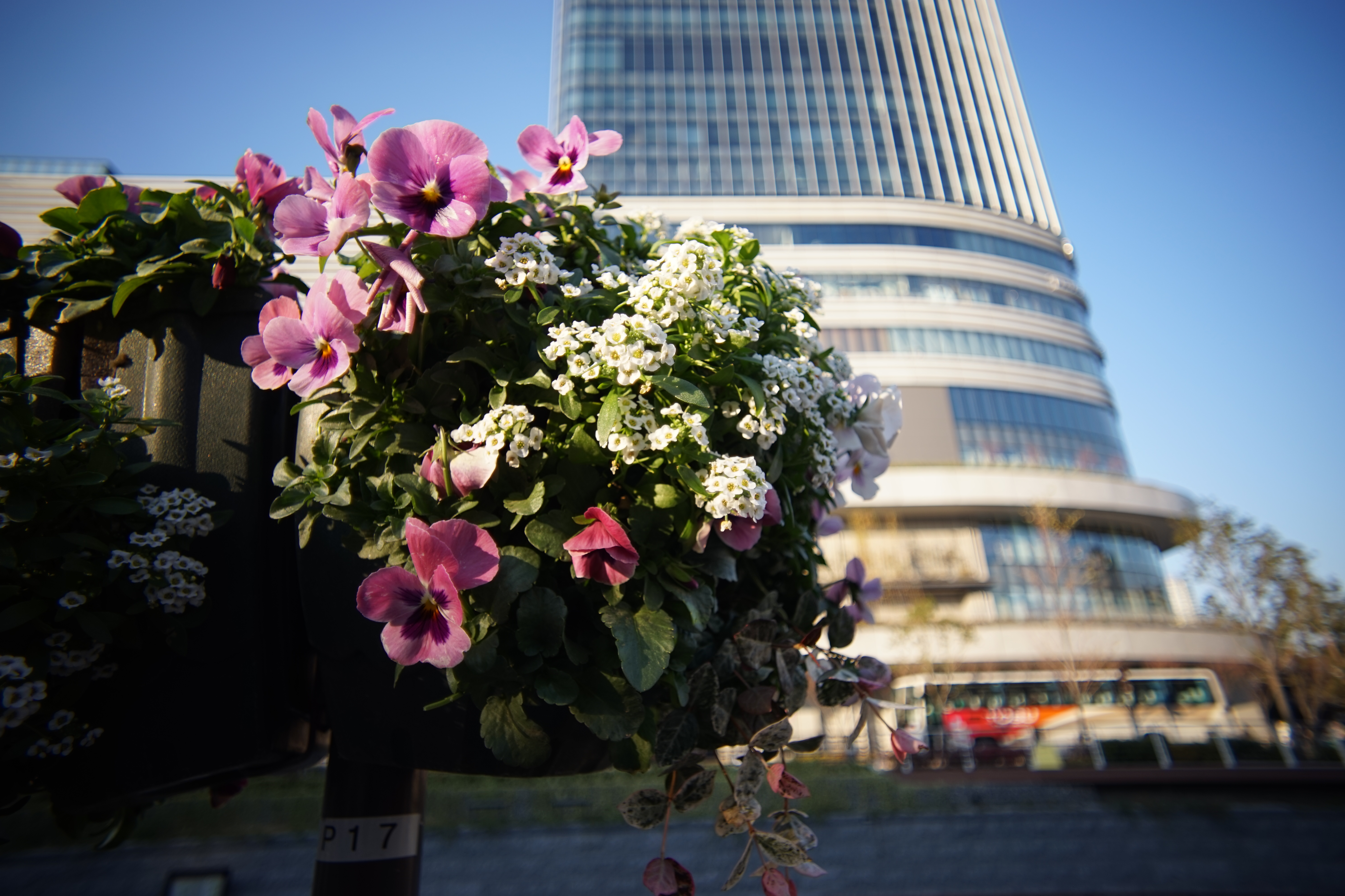 α7 / Distagon T* 18mm F4 / 6,000×4,000 / 1/160秒 / F4 / +0.3EV / ISO100 / WB:オート / 18mm