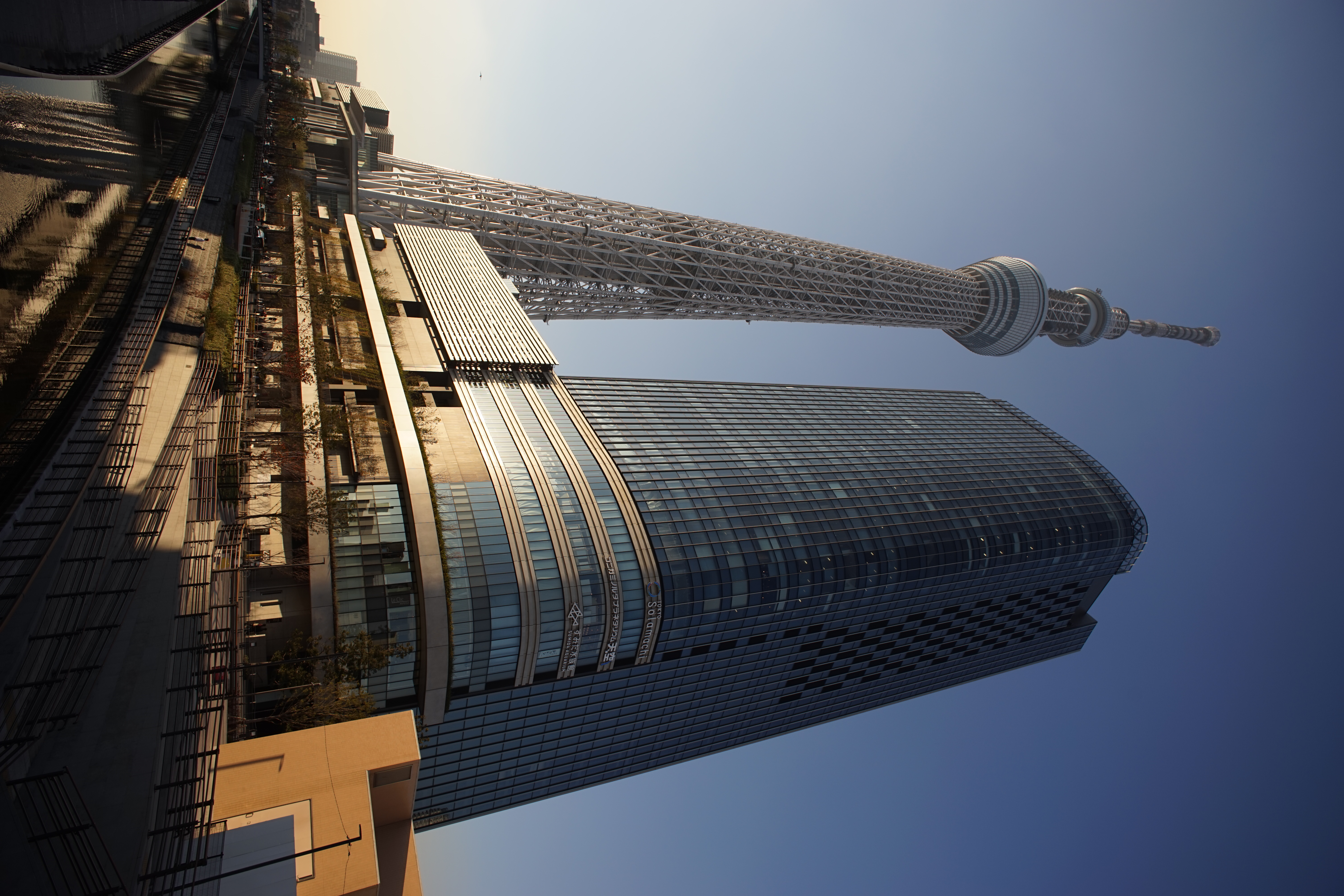 α7 / Distagon T* 18mm F4 / 6,000×4,000 / 1/250秒 / F8 / 0EV / ISO100 / WB:オート / 18mm