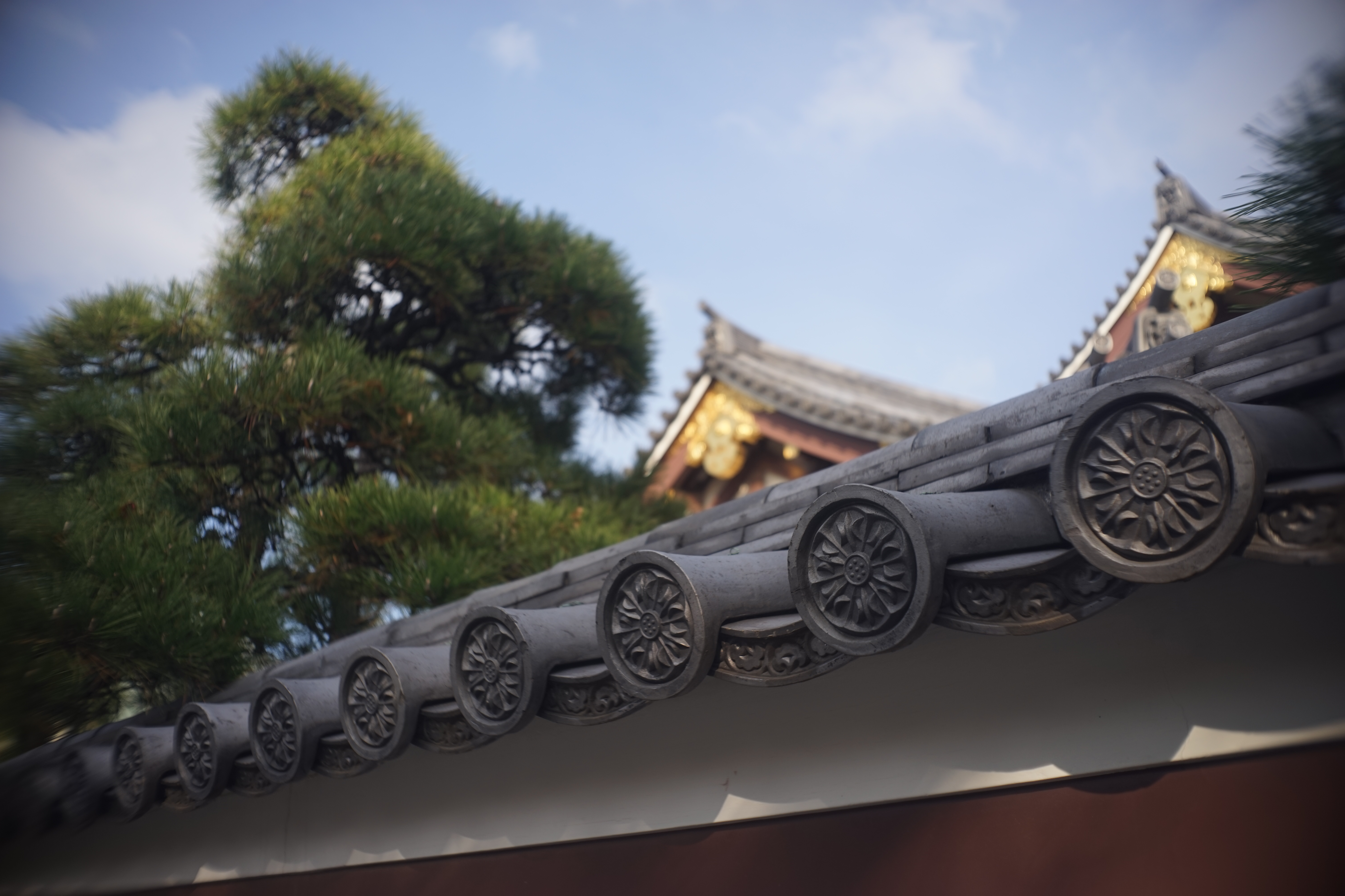 α7 / Tessar 3cm F2.8 / 6,000×4,000 / 1/500秒 / F4 / 0EV / ISO100 / WB:オート / 30mm