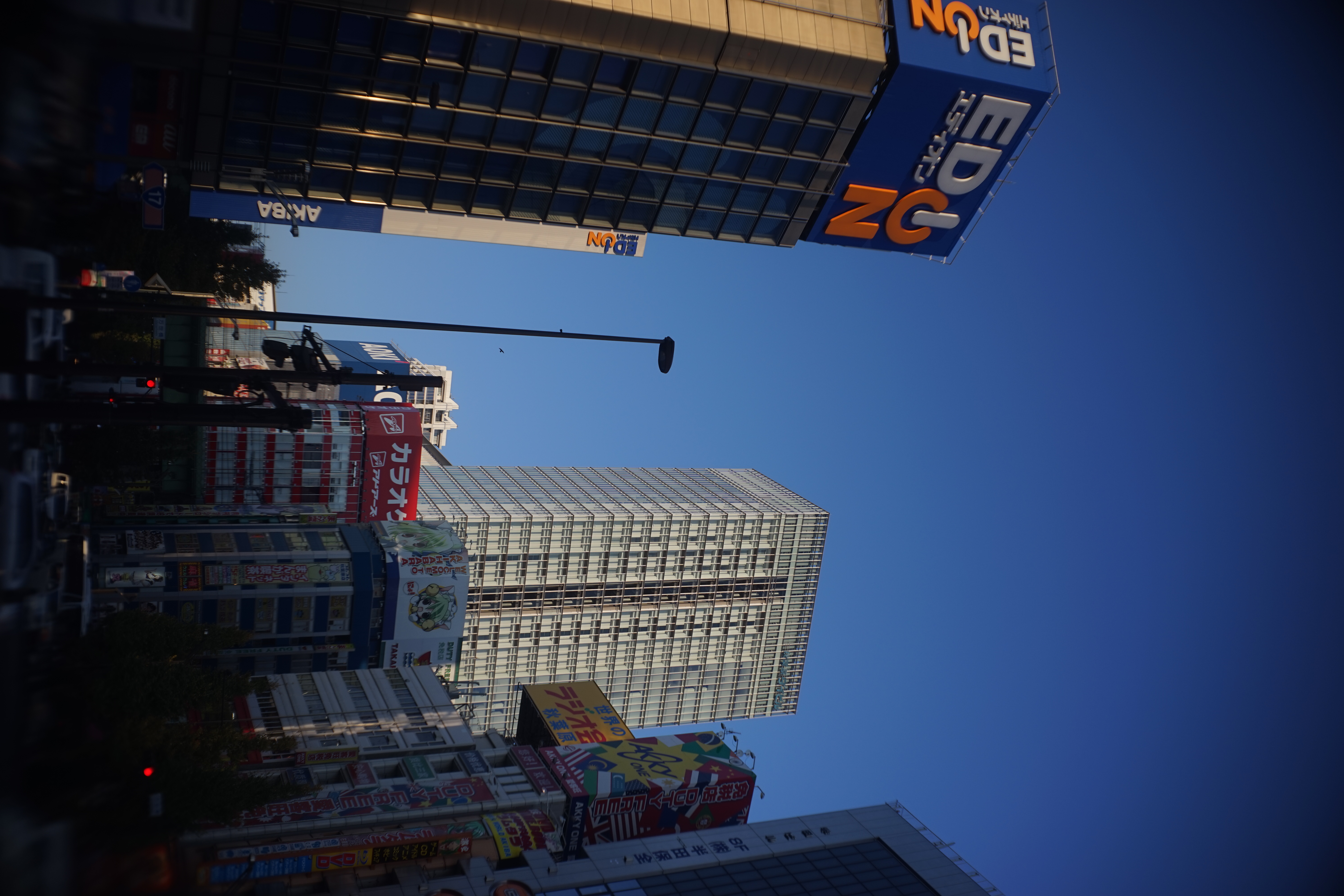 α7 / Tessar 3cm F2.8 / 6,000×4,000 / 1/640秒 / F5.6 / 0EV / ISO100 / WB:オート / 30mm