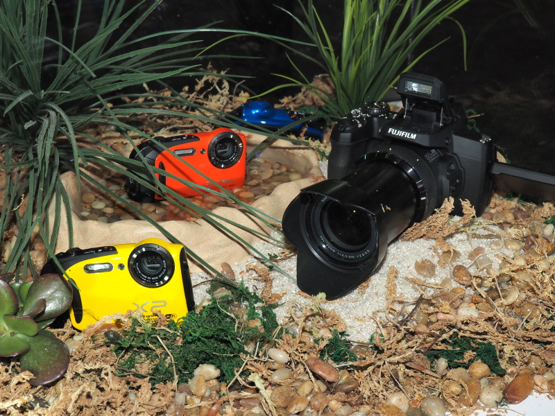 アウトドアシーンでの利用をイメージさせる展示も