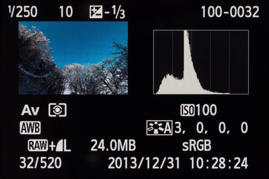 詳細な撮影データ付きの画面。ヒストグラムは、カスタムメニューで輝度またはRGBから選べる。