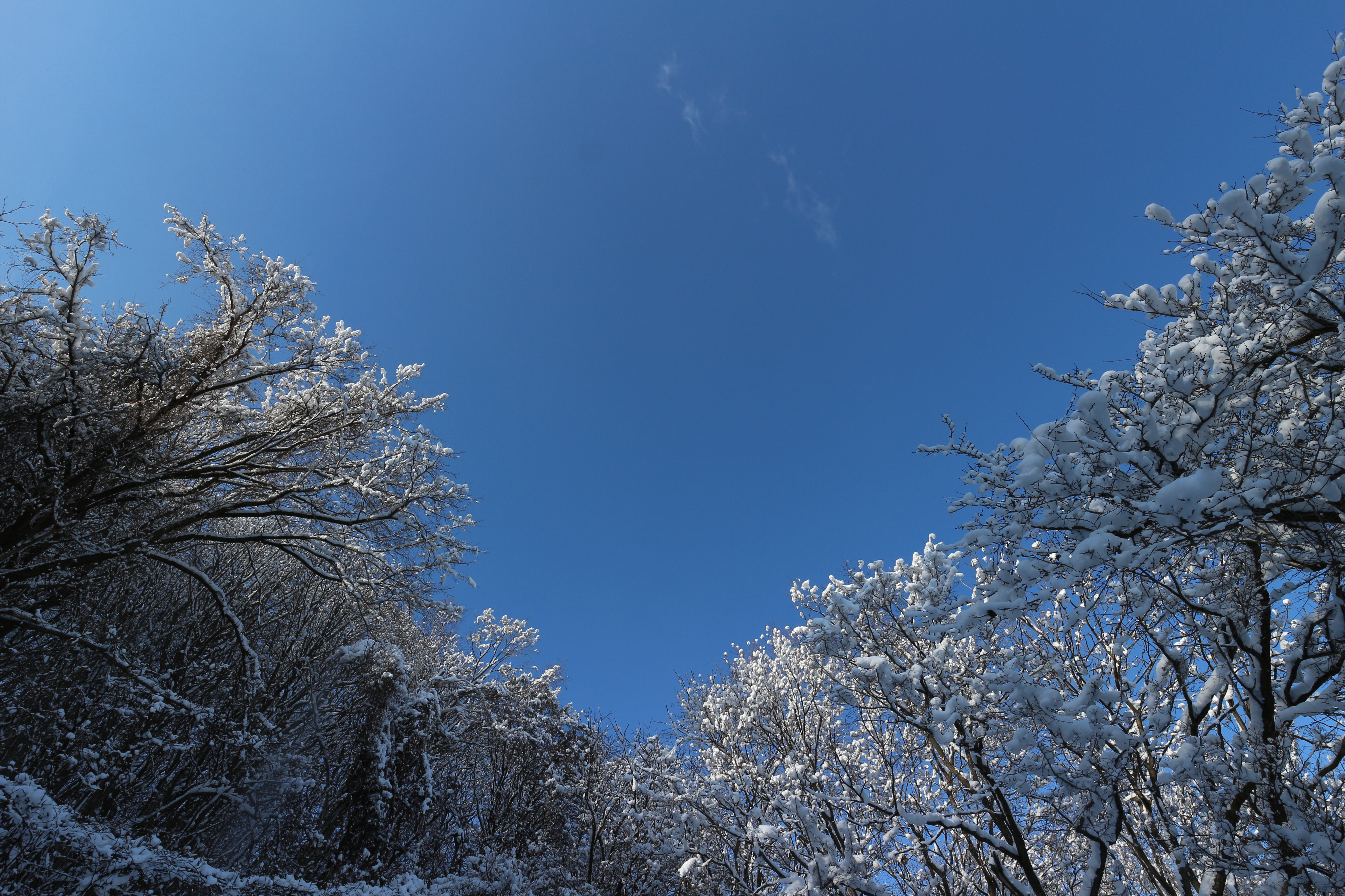 広角ズームのEF-M 11-22mmの広角端。絞っているからというのもあるが、隅々までシャープな描写。EF-M 18-55mm F3.5-5.6 IS STM / 1/200秒 / F10 / -0.7EV / ISO100 / 絞り優先AE / WB：オート / 11mm