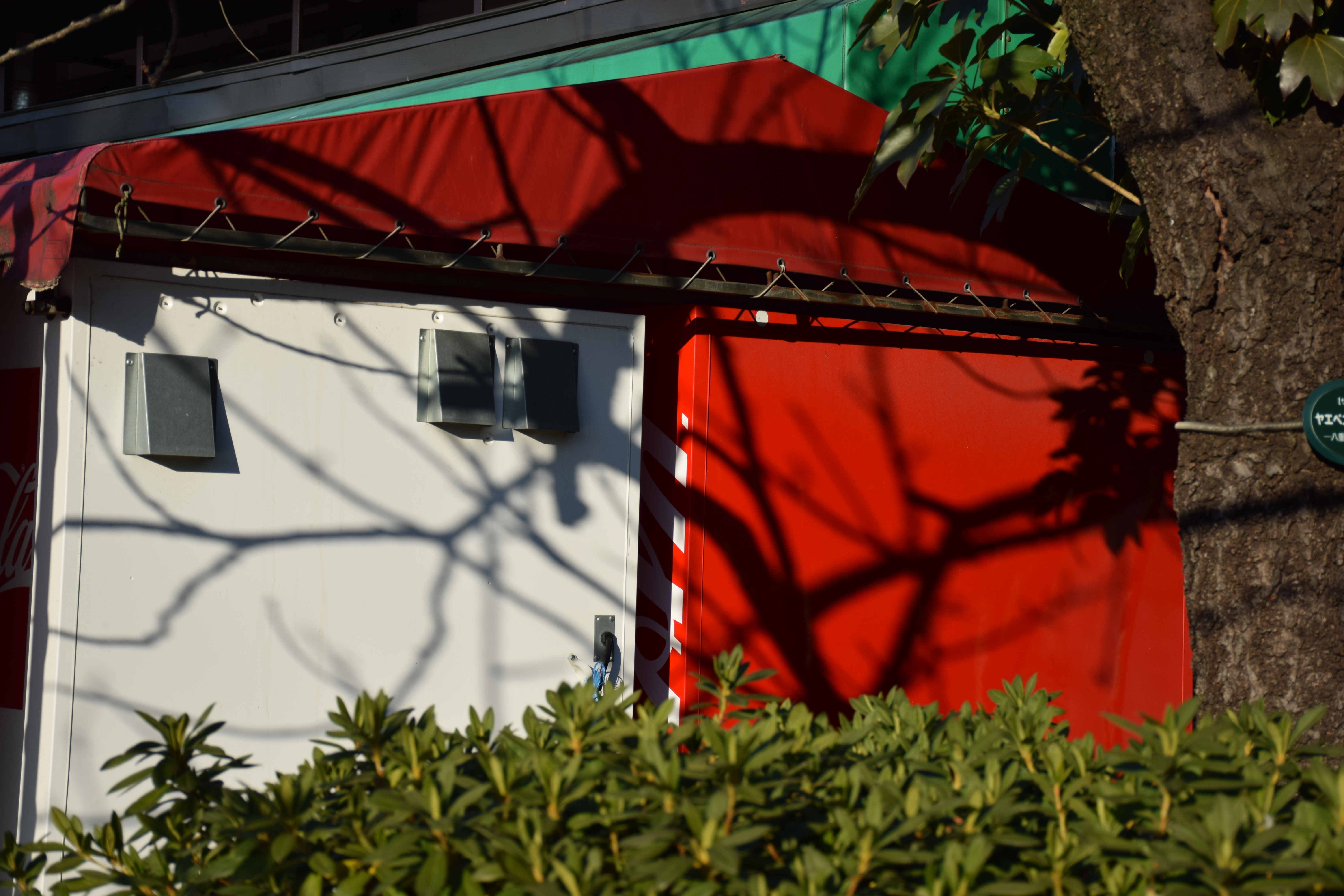 D5300 / AF-S DX NIKKOR 18-140mm F3.5-5.6 G ED VR  / 6,000×4,000 / ISO100 / F5.6 / 1/640秒 / 48mm（72mm相当）