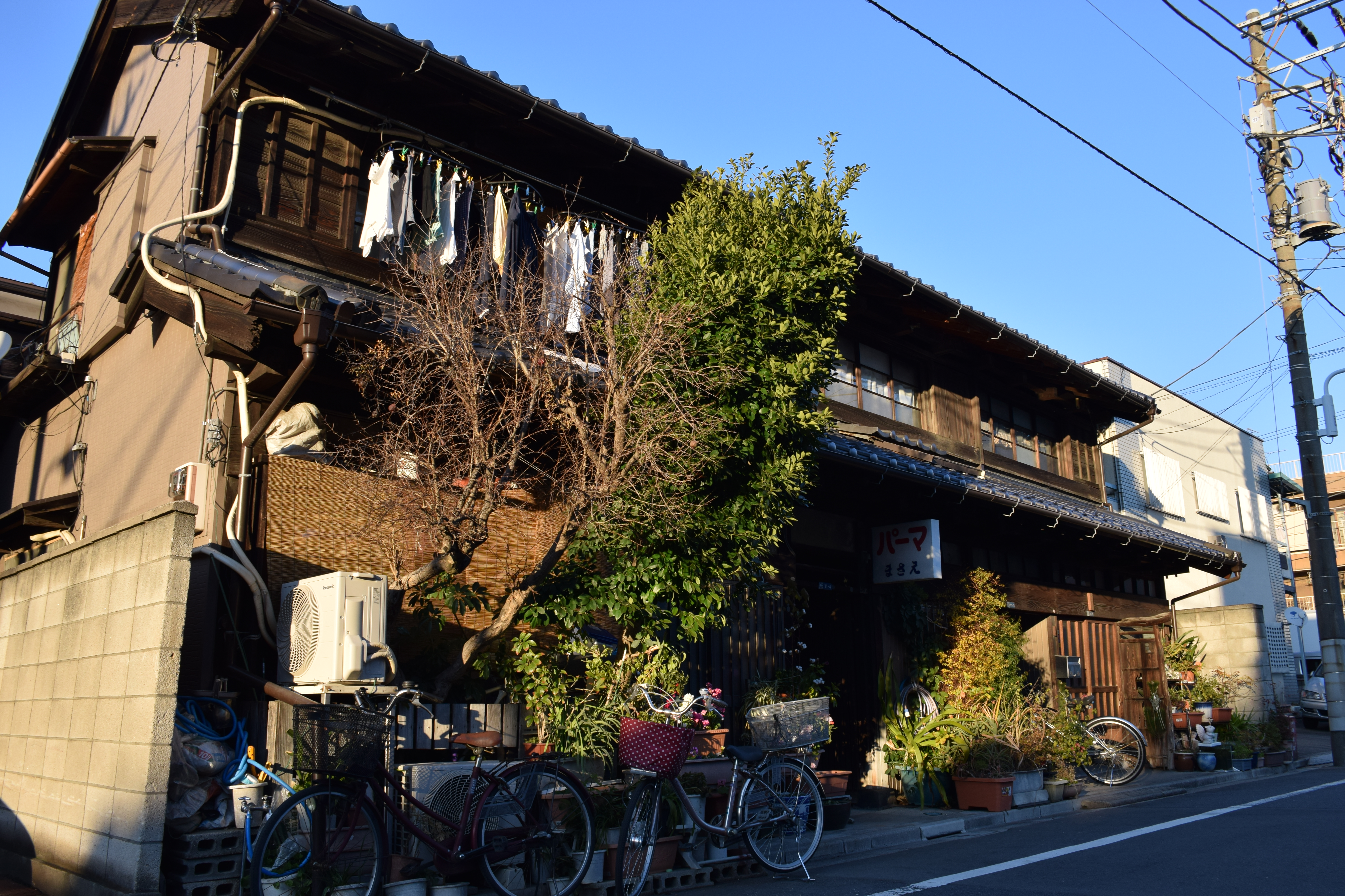 D5300 / AF-S DX NIKKOR 18-140mm F3.5-5.6 G ED VR  / 6,000×4,000 / ISO100 / F6.3 / 1/160秒 / 18mm（27mm相当）