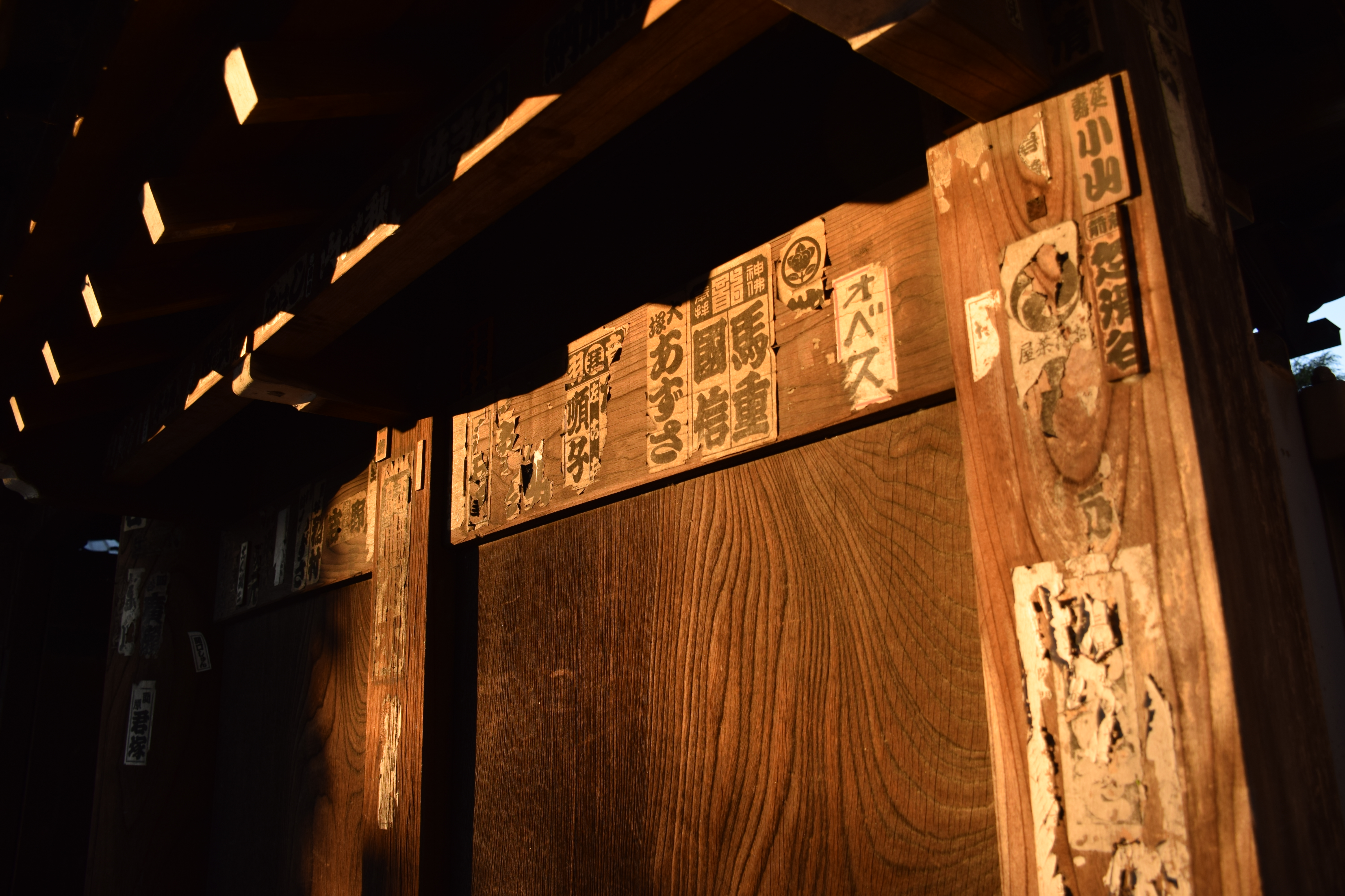 D5300 / AF-S DX NIKKOR 18-140mm F3.5-5.6 G ED VR  / 6,000×4,000 / ISO100 / F4.5 / 1/80秒 / 18mm（27mm相当）