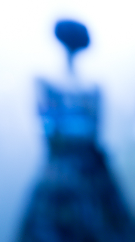 これが「レンズのないカメラ」で撮影した写真。ピンぼけとはちょっと違う描写になった。