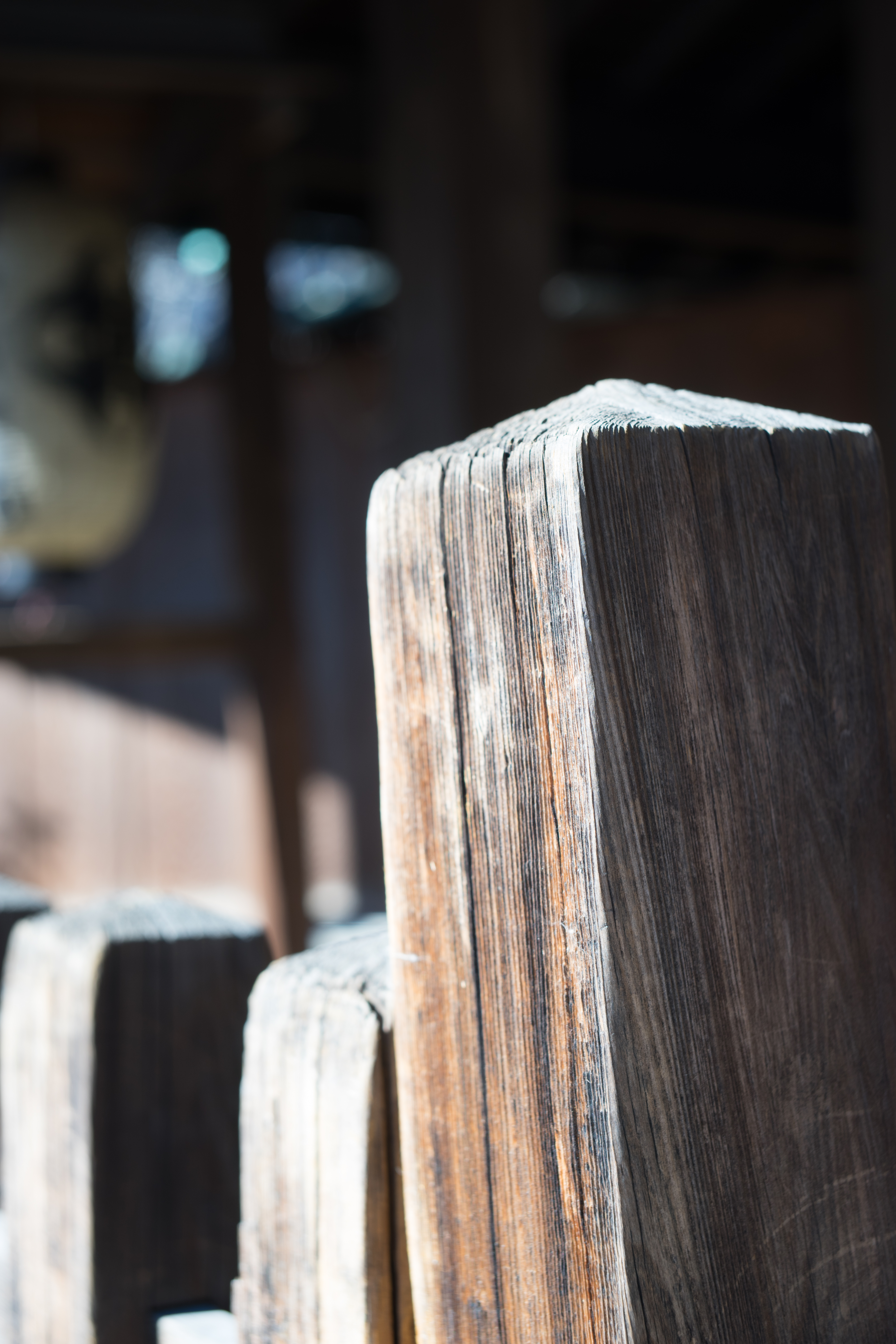 アダプター最短（フォクトレンダー製アダプター使用）