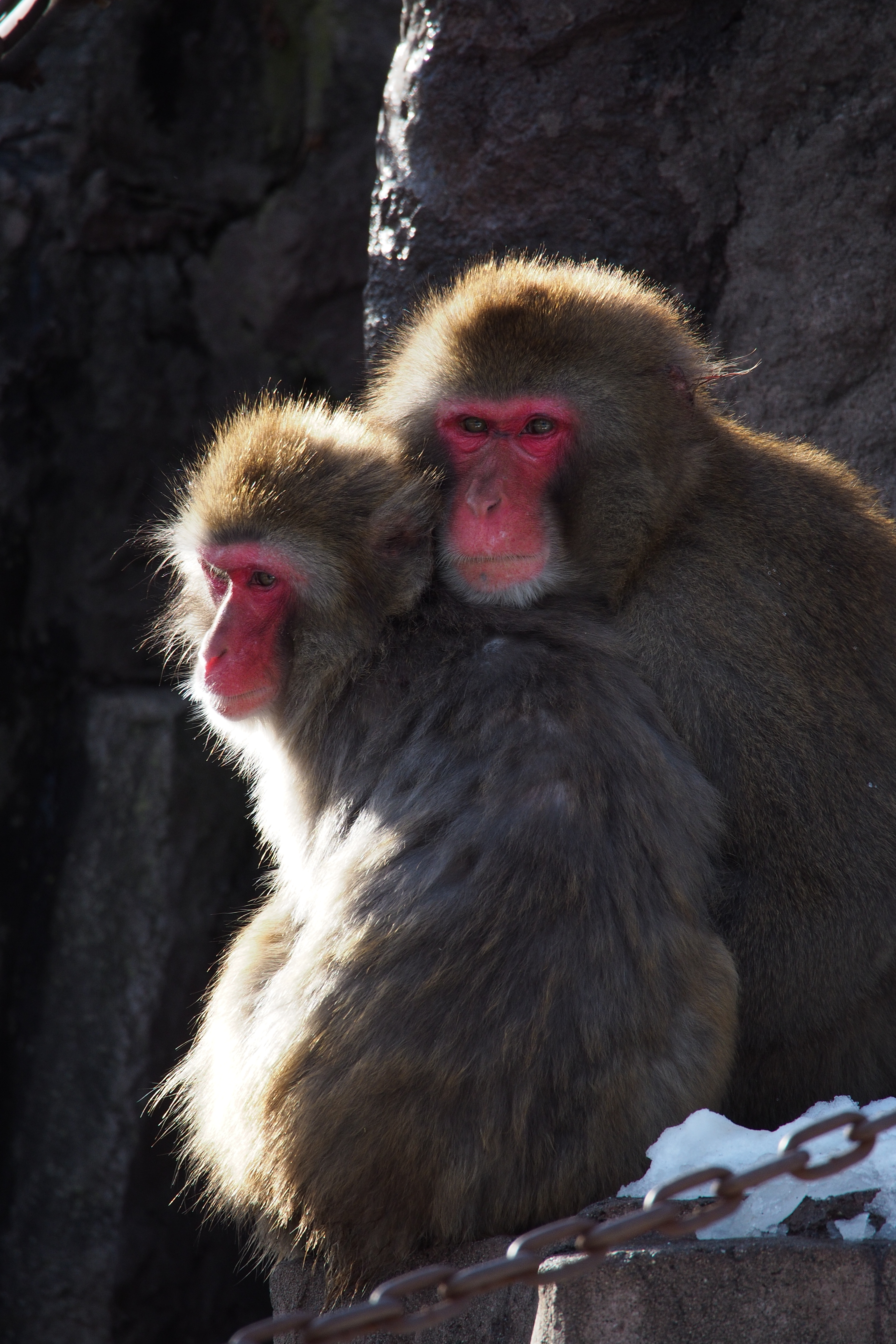 これも望遠端。これぐらい解像していれば文句はない。というか、実売5万円台でこの写りなら文句の付けようがない。M.ZUIKO DIGITAL ED 75-300mm F4.8-6.7 II / 1/400秒 / F6.7 / -1EV / ISO400 / 絞り優先AE / WB：オート / 300mm