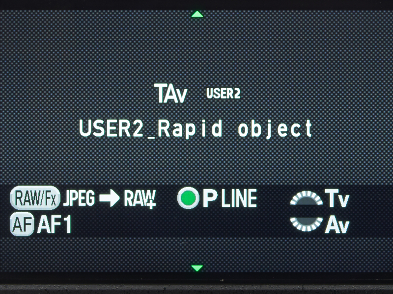今回のセッティング