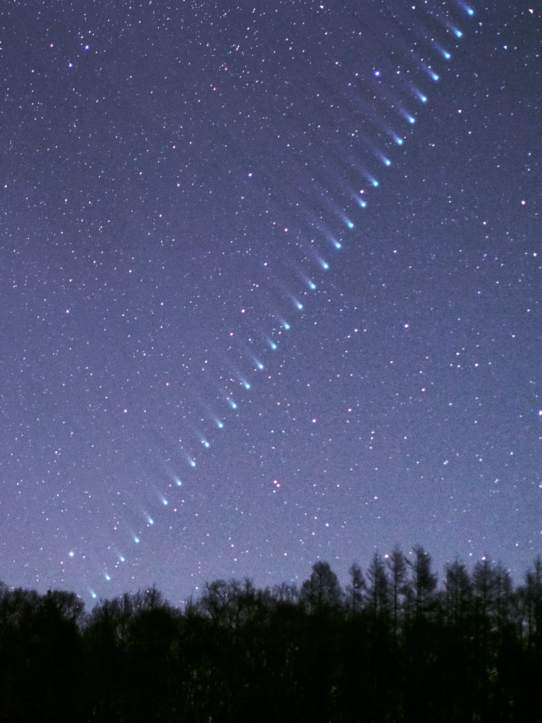 撮影者コメント：12月8日に連続撮影したラブジョイ彗星を、彗星部分を切り抜き、比較明合成しました。高度があがるにつれはっきり見えてくる長い尾が印象的でした。夜空は球状星団（M13）が昇ってきた時点を基準にしてあります。