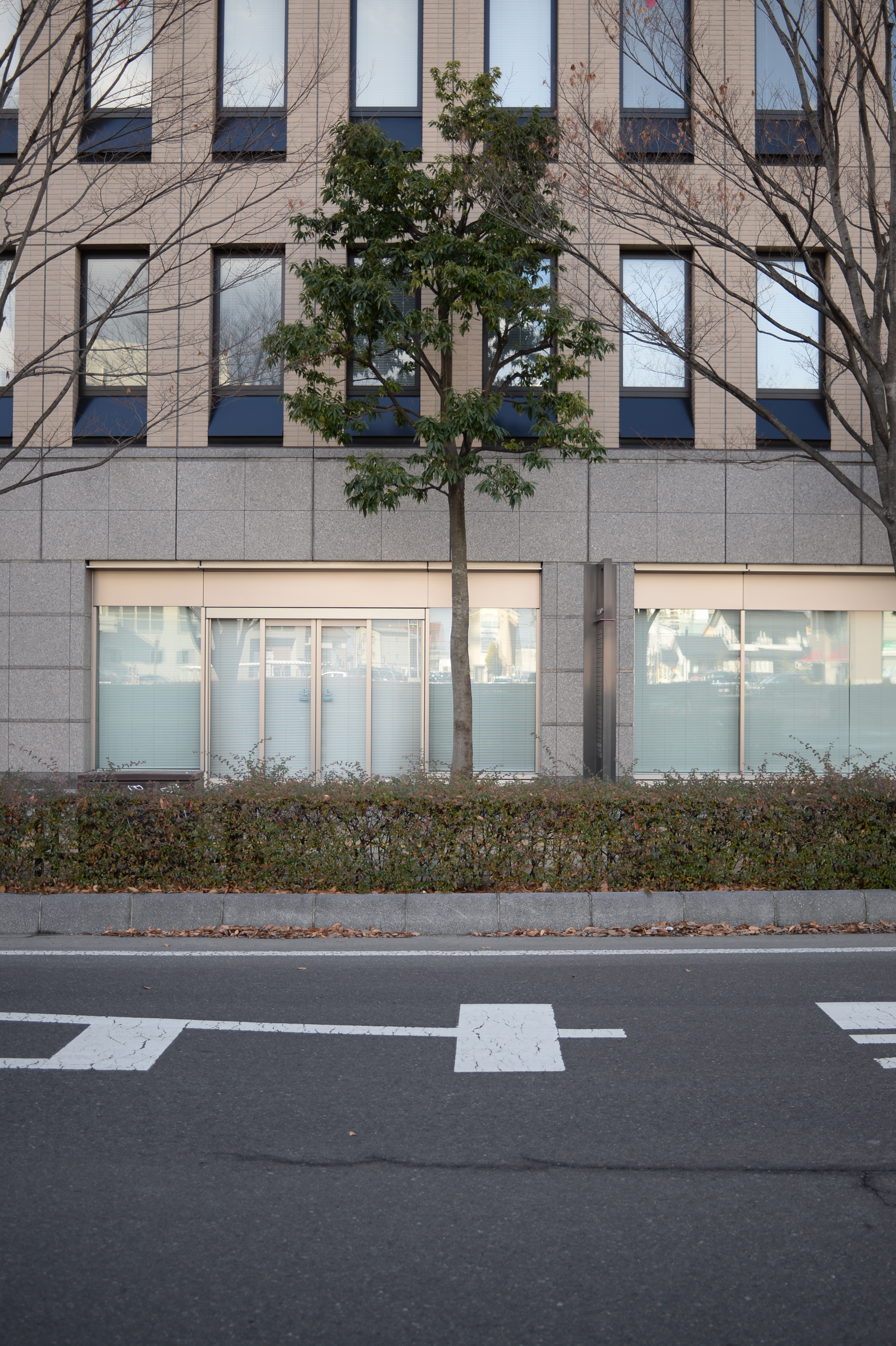 F2.8（シフト無し）