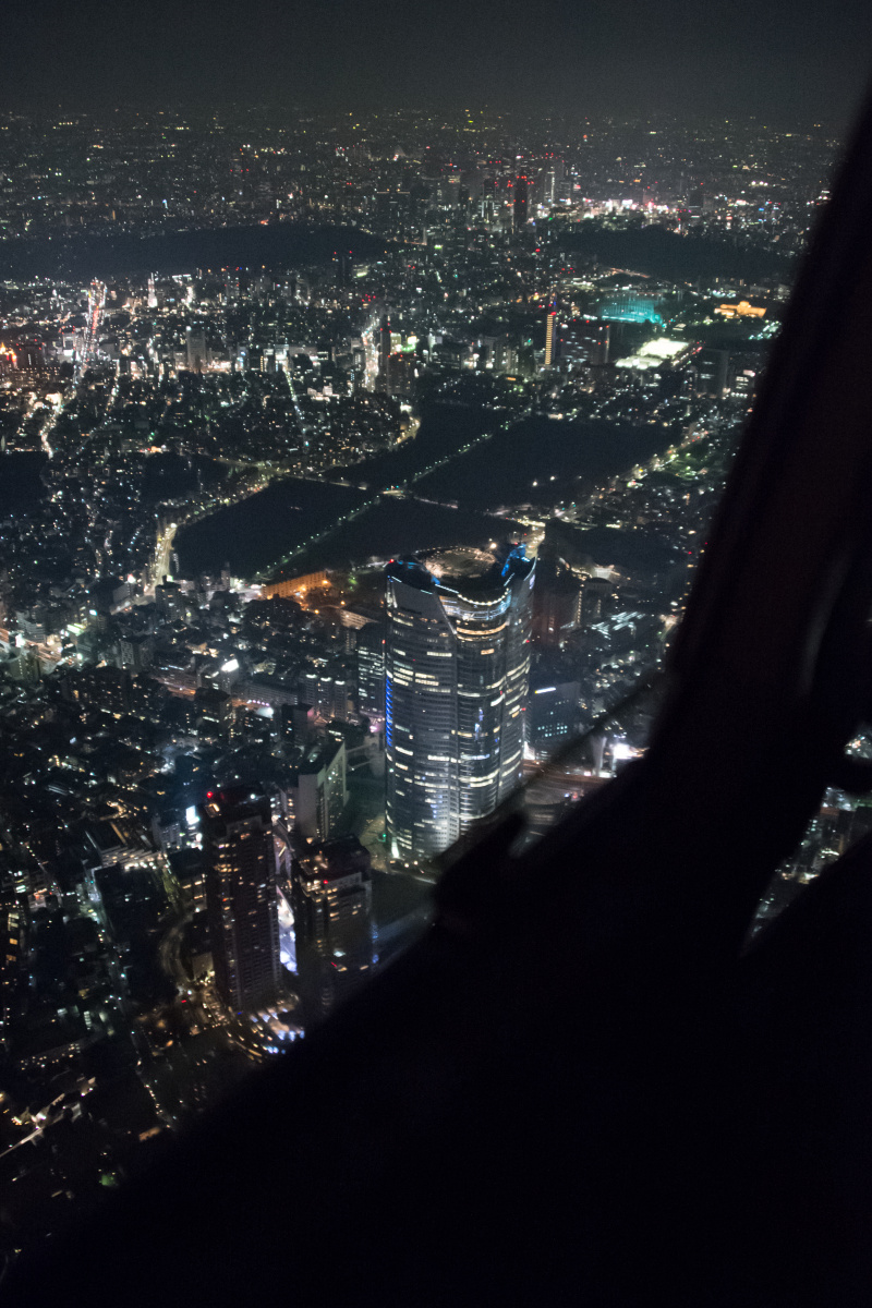 六本木ヒルズを見下ろす