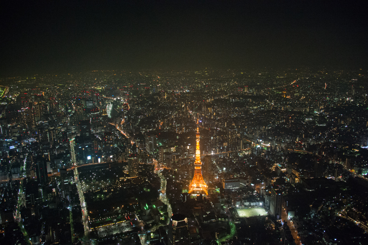 オレンジの東京タワーが映える