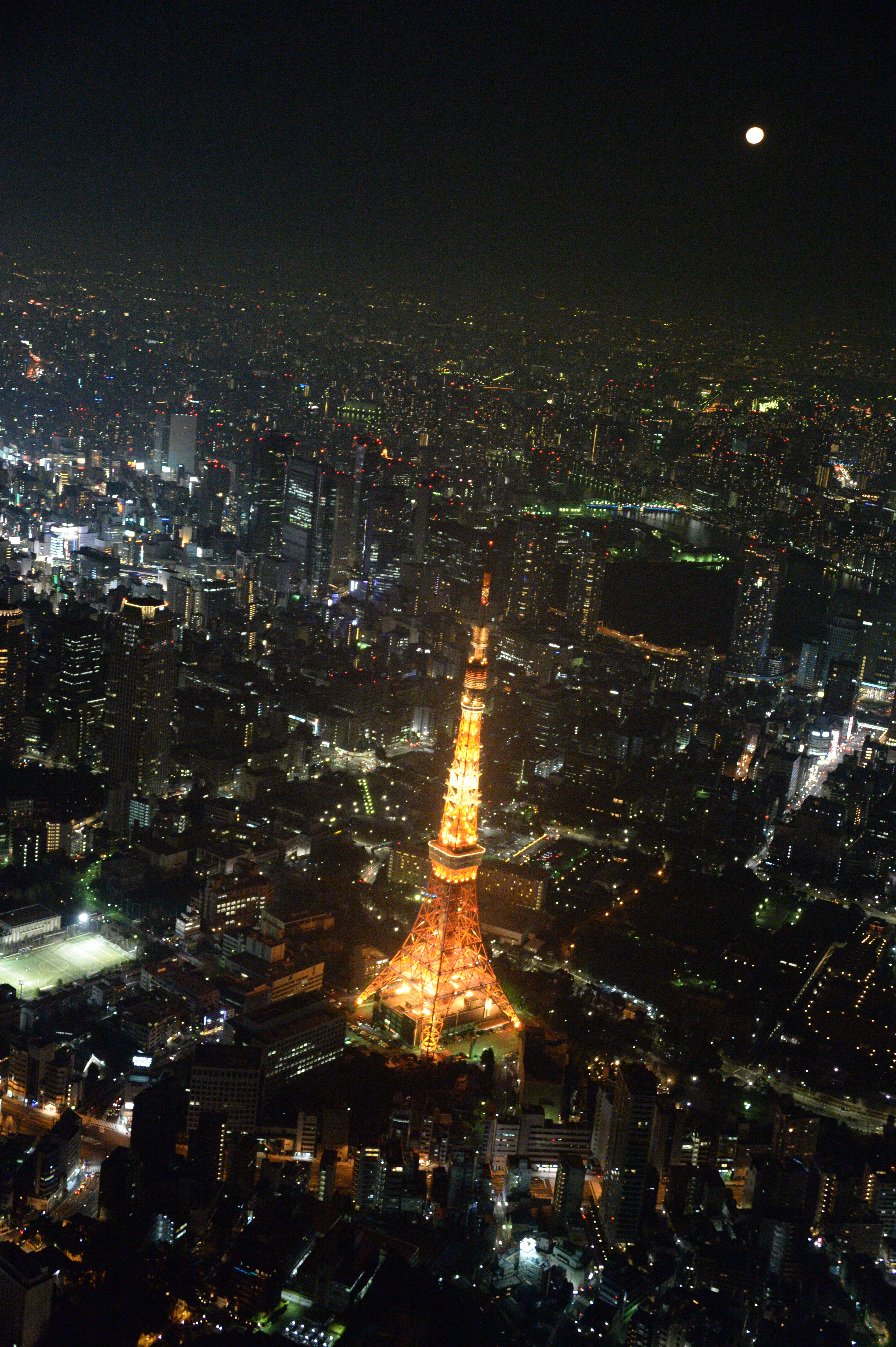 Df / AF-S NIKKOR 28-300mm F3.5-5.6 G ED VR / 3,280×4,928 / ISO12800 / F4.2 / 1/60秒 / 44mm