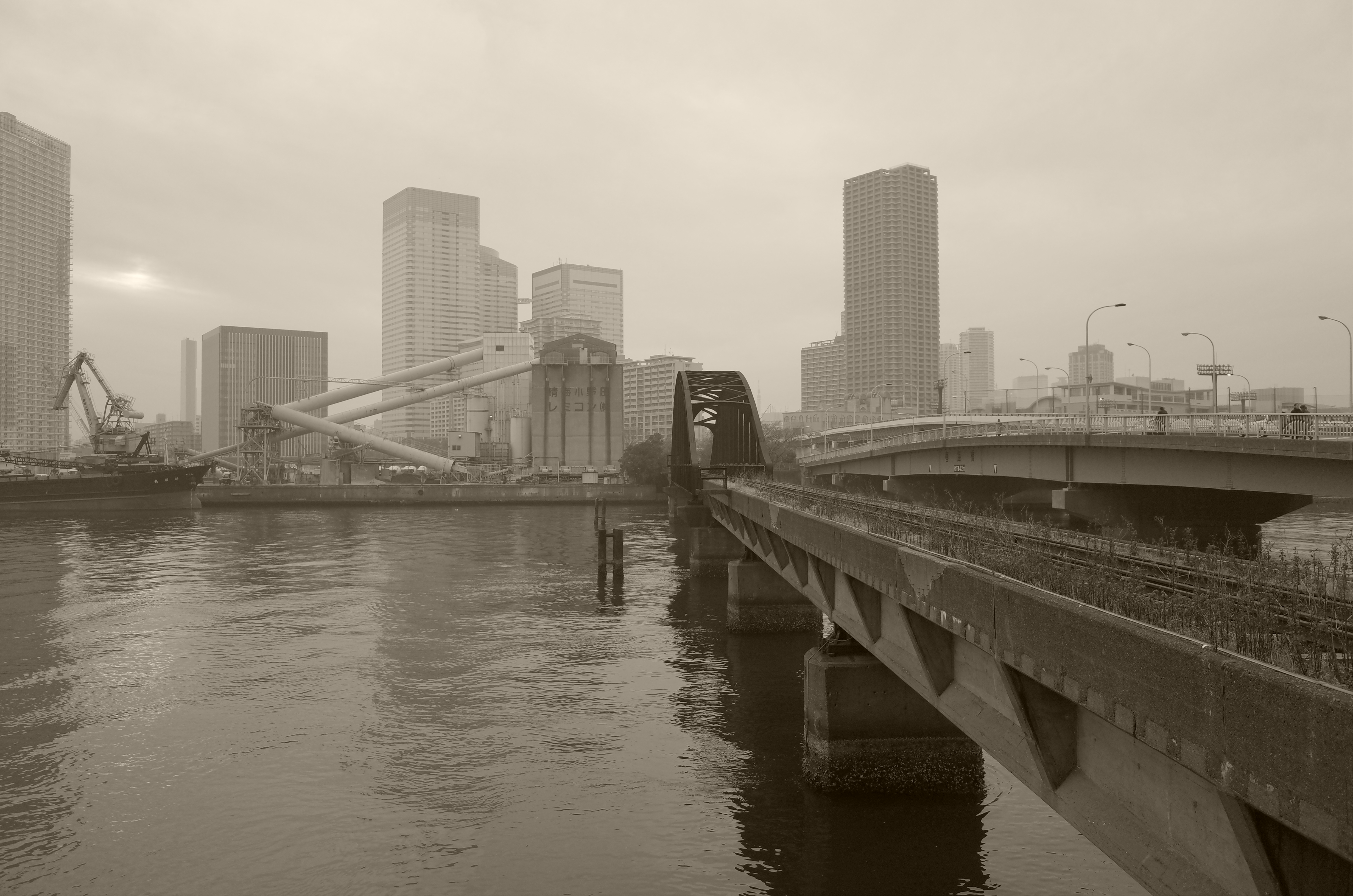 エフェクト：白黒（TE)