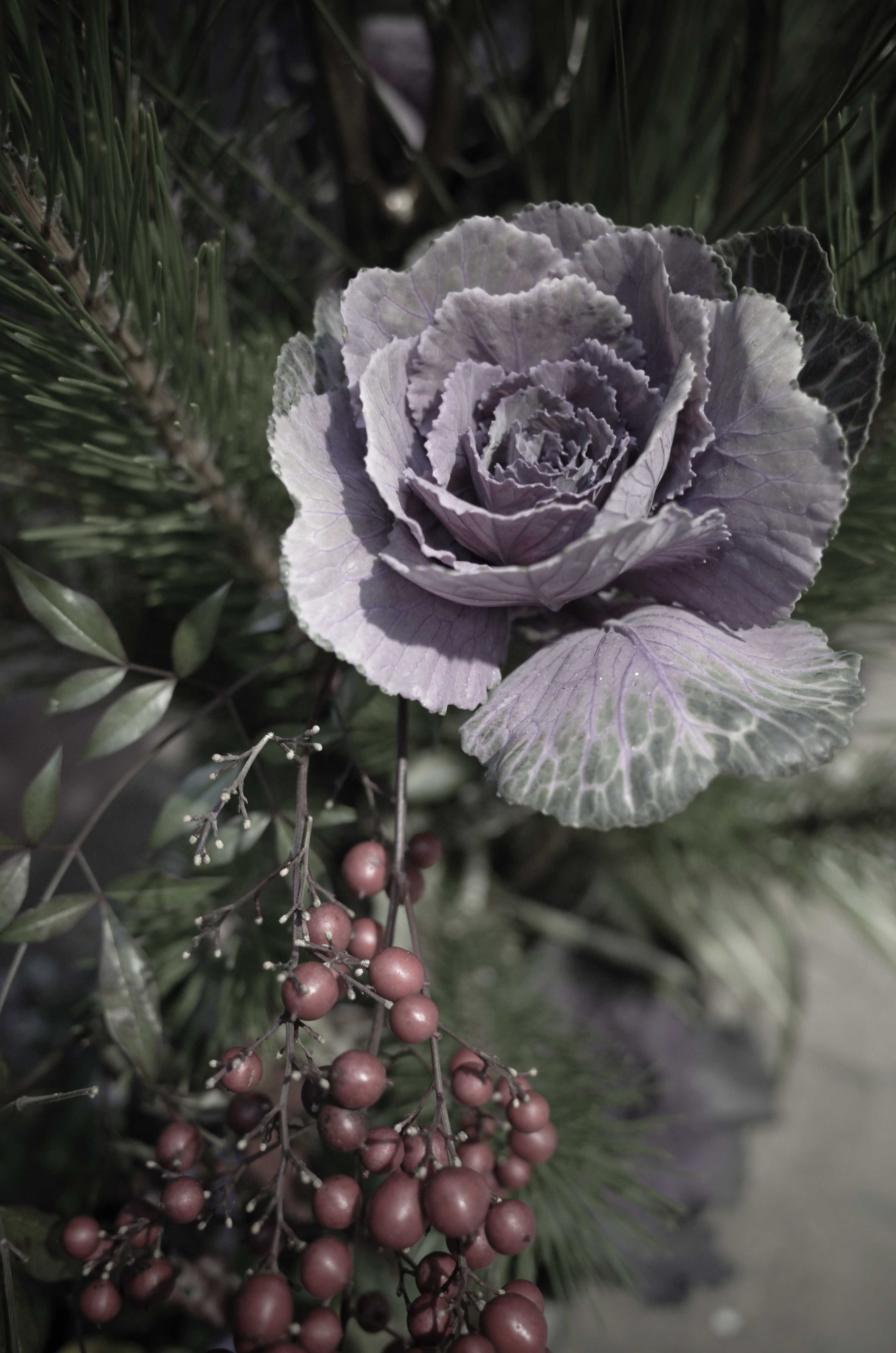 GR / 1/40秒 / F2.8 / -0.3EV / ISO1000 / プログラム / WB：オート