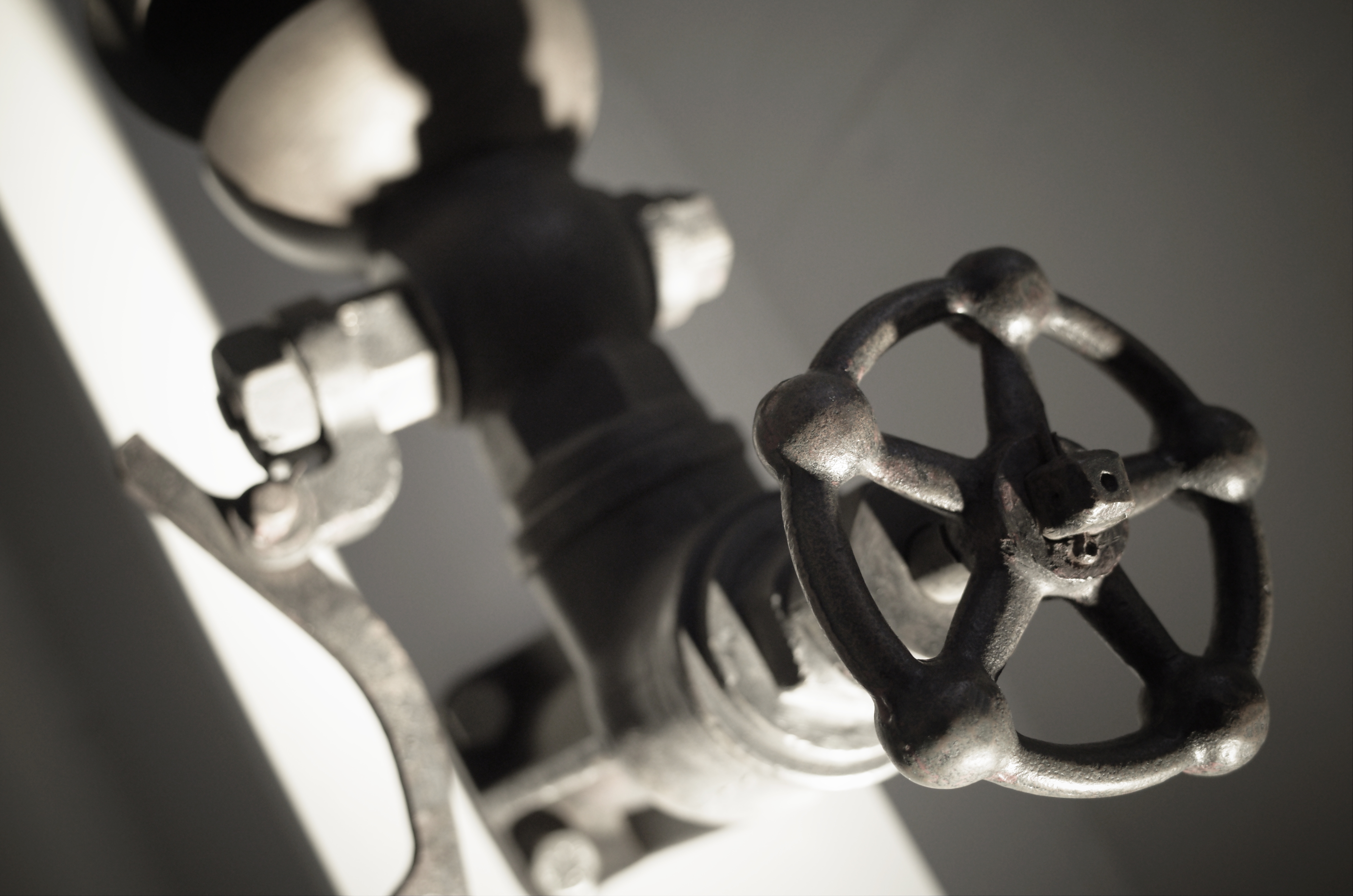 GR / 1/40秒 / F2.8 / +0.7EV / ISO800 / プログラム / WB：オート