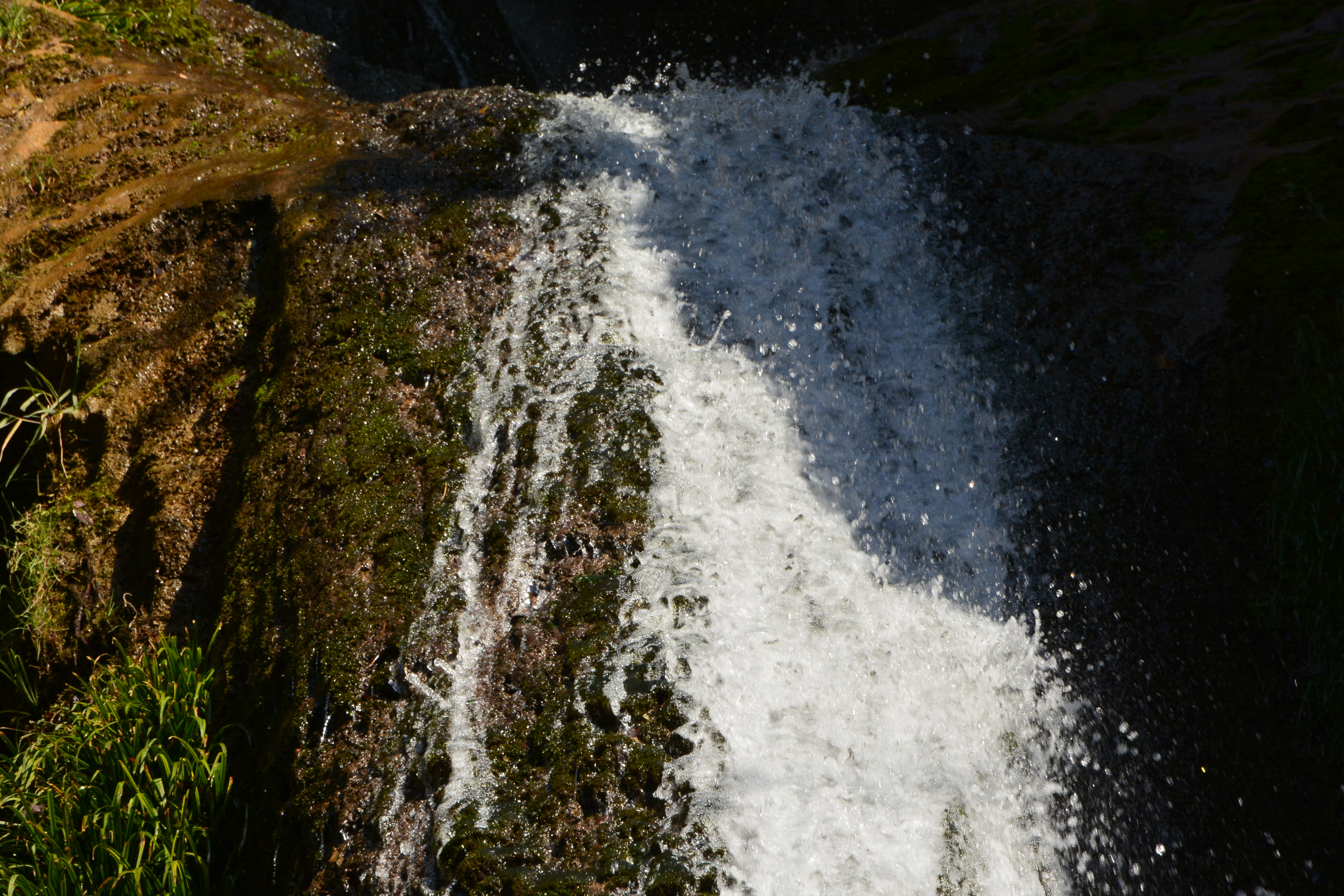 585mm相当で撮影：D7100+28-300mm使用。1/250秒 / F16 / 0EV / ISO400 / 絞り優先AE / WB：晴天