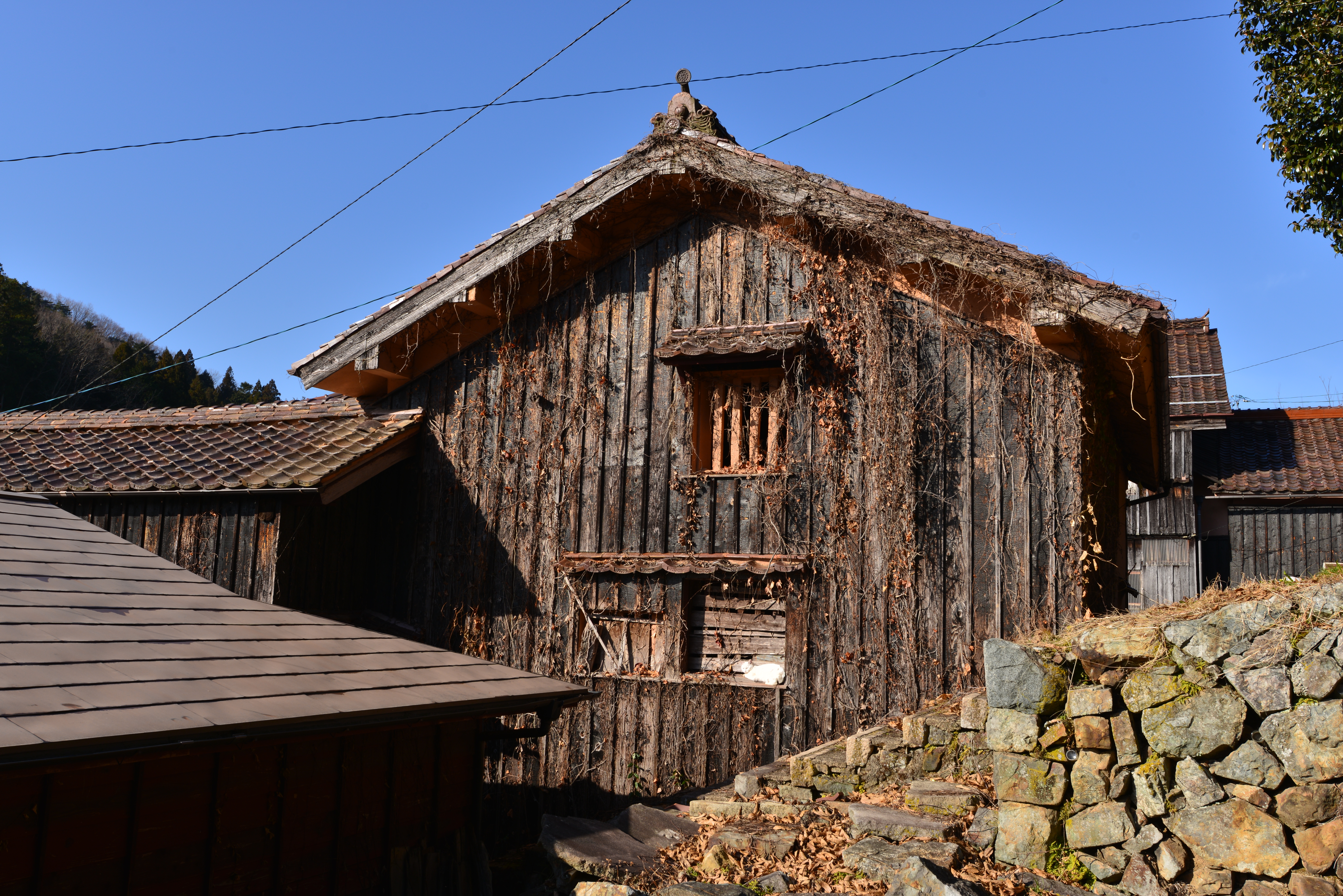 31mmで撮影：D800+16-35mm使用。1/125秒 / F11 / -0.7EV / ISO100 / 絞り優先AE / WB：晴天