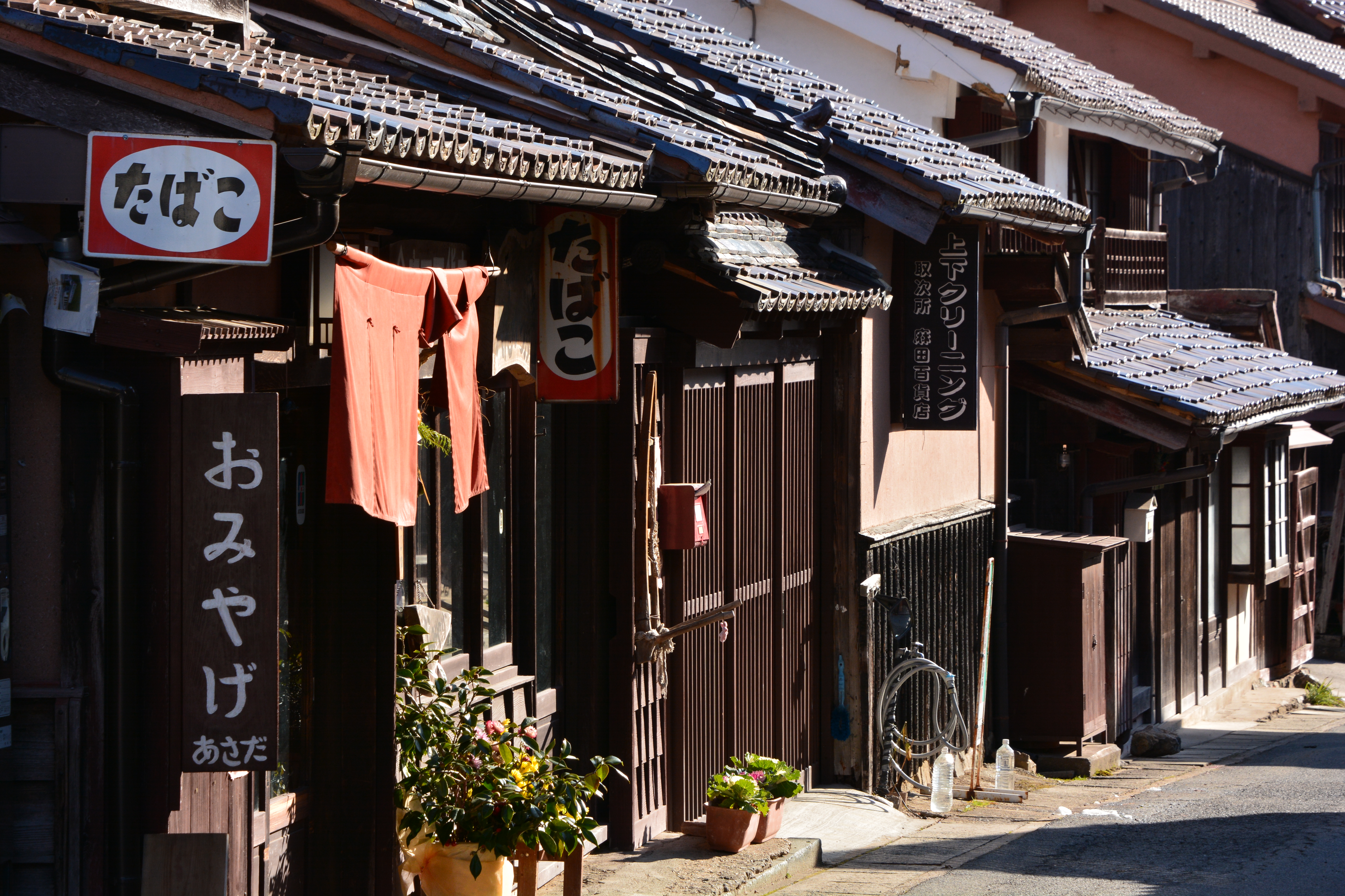 D7100 / AF-S NIKKOR 28-300mm F3.5-5.6 G ED VR / 1/160秒 / F11 / -0.3EV / ISO280 / 絞り優先AE / WB：晴天 / 105mm