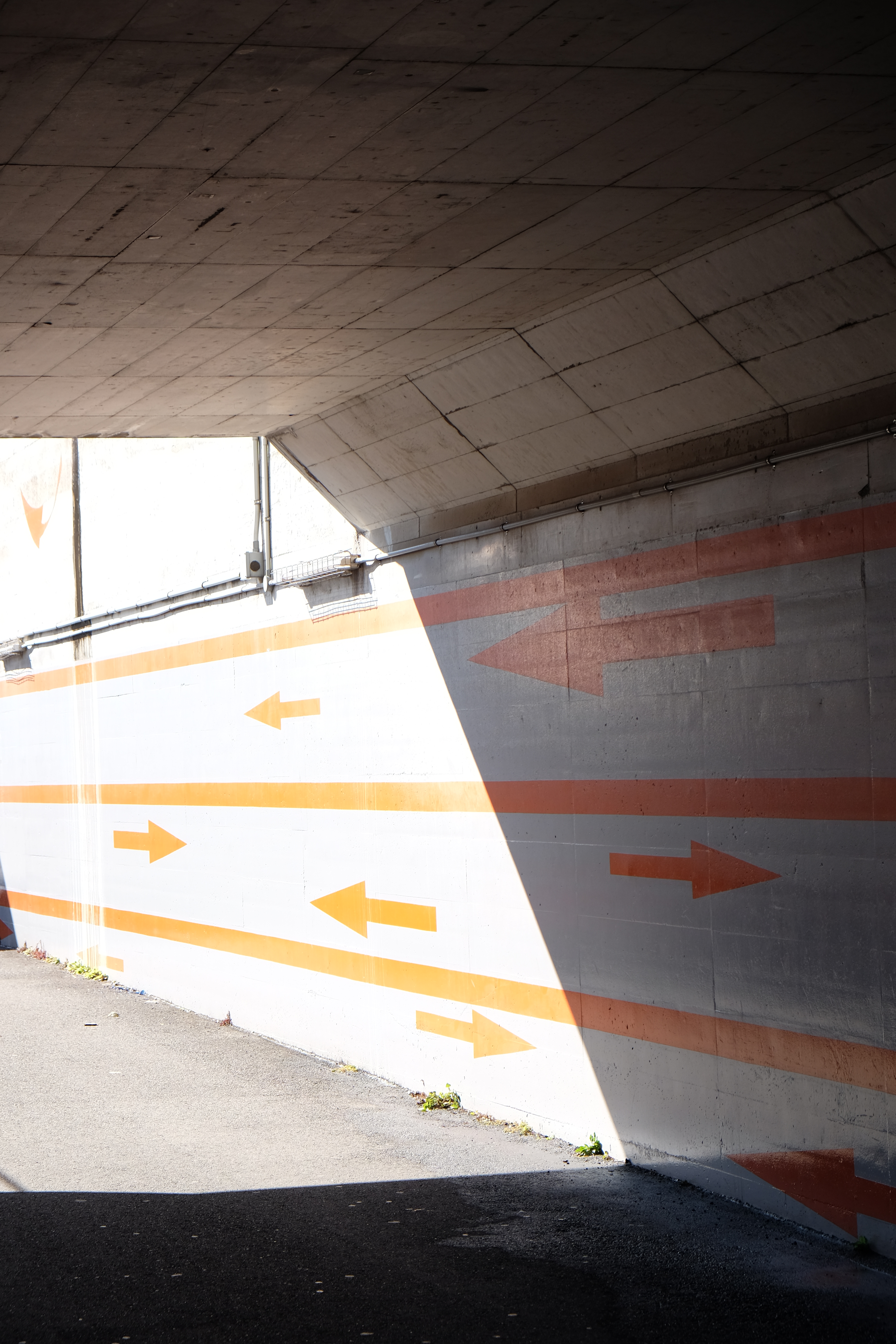 X-T1 / XF 18-55mm F2.8-4 R LM OIS / 4,896×3,264 / 1/220秒 / F5.6 / +0.67EV / ISO200 / WB:オート / 55mm